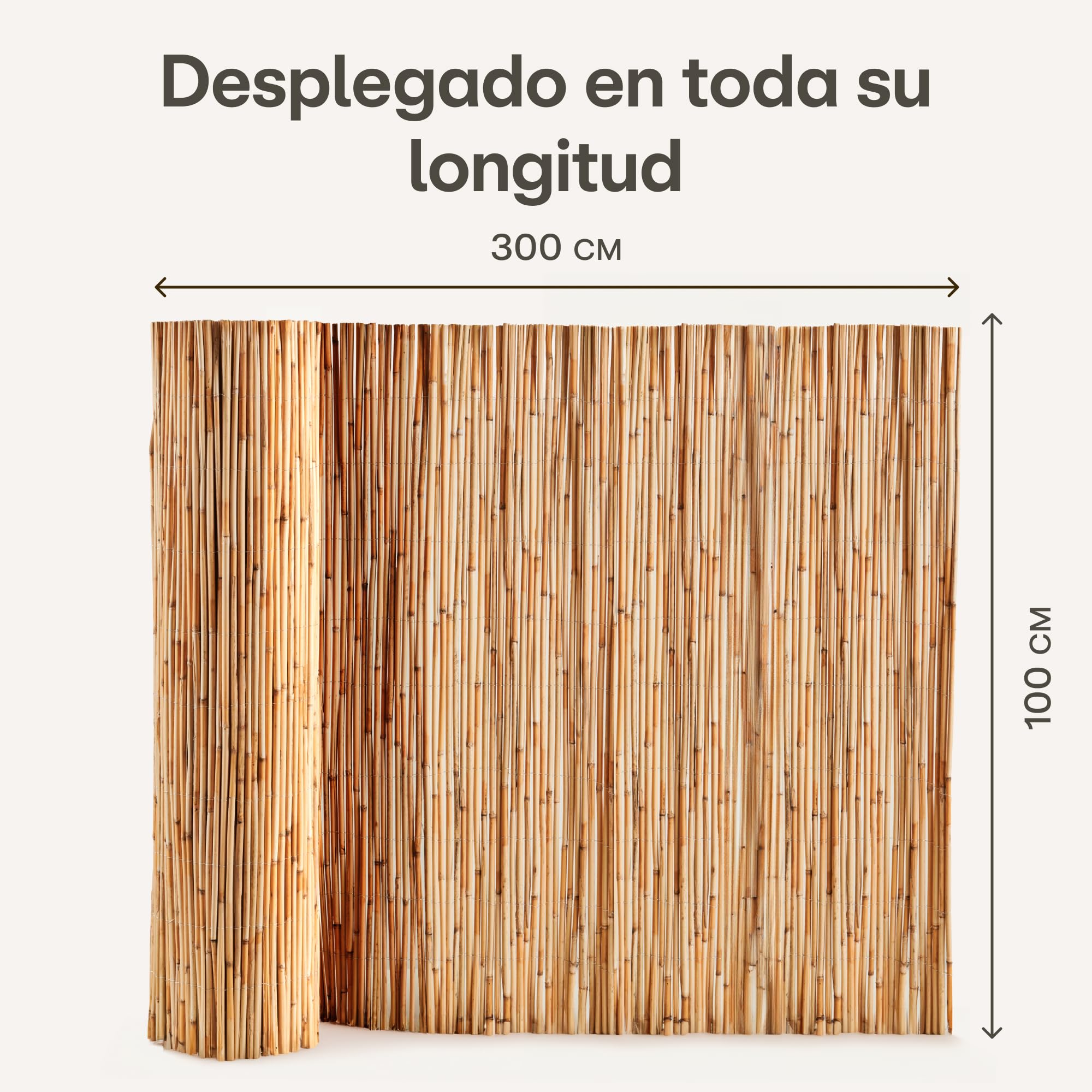 Praknu Cañizo Jardin Ocultacion 1x3 m- FSC® Certificado, Junco Natural - Versátil Uso en Interiores y Exteriores Balcones y Jardines - 100 x 300cm