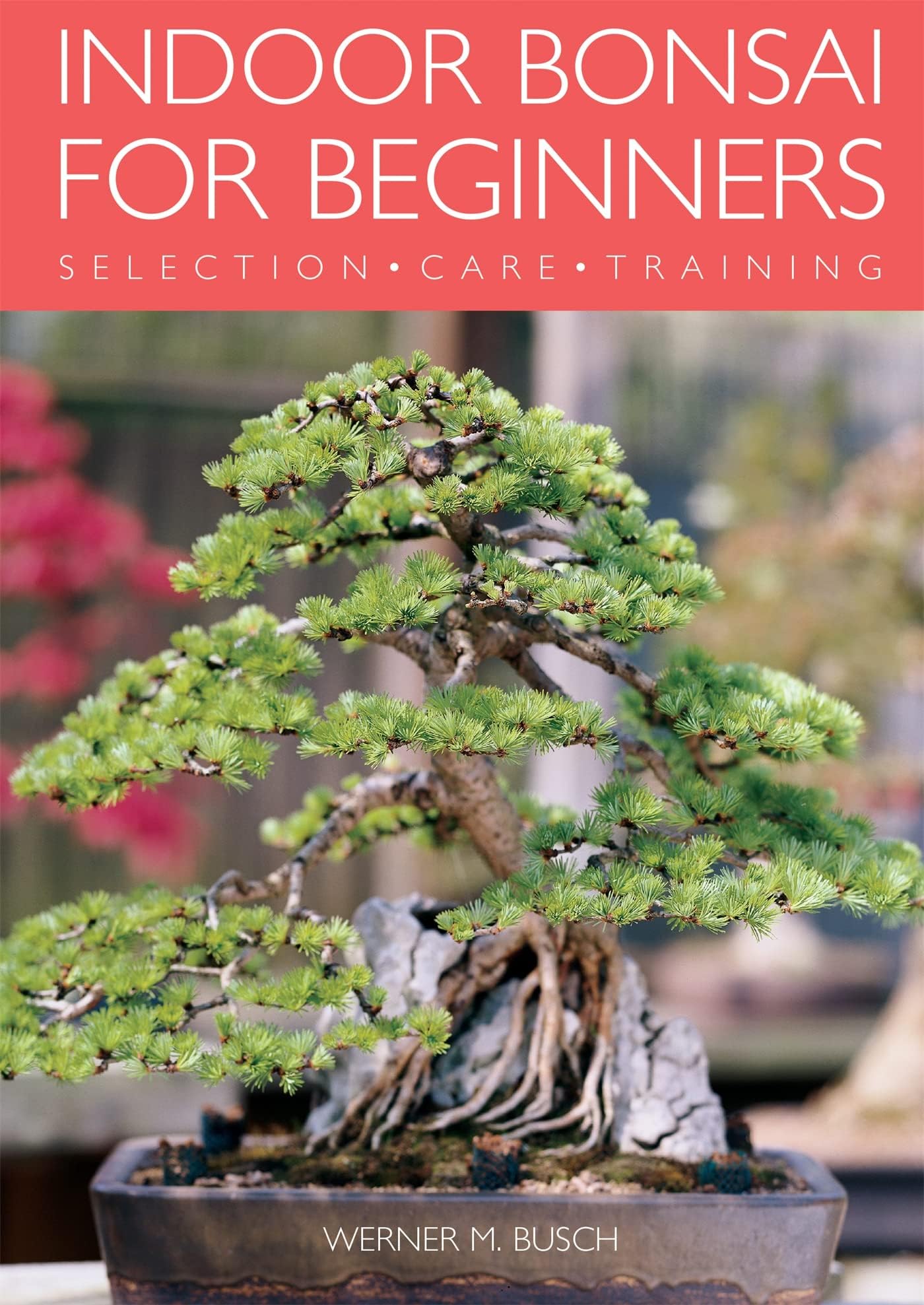 Indoor Bonsai for Beginners: Selection · Care · Training