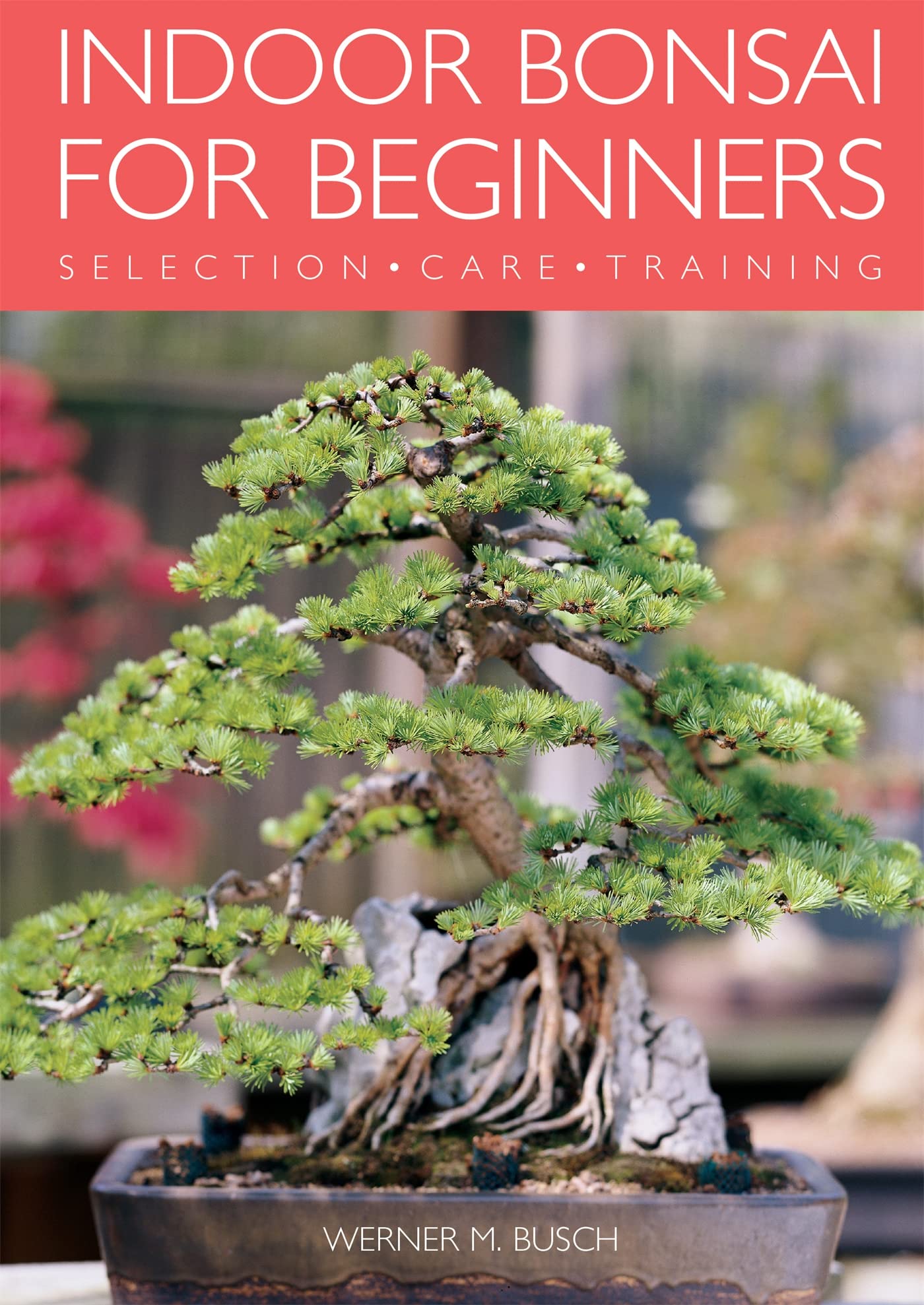 Indoor Bonsai for Beginners: Selection · Care · Training Paperback – May 1, 2005