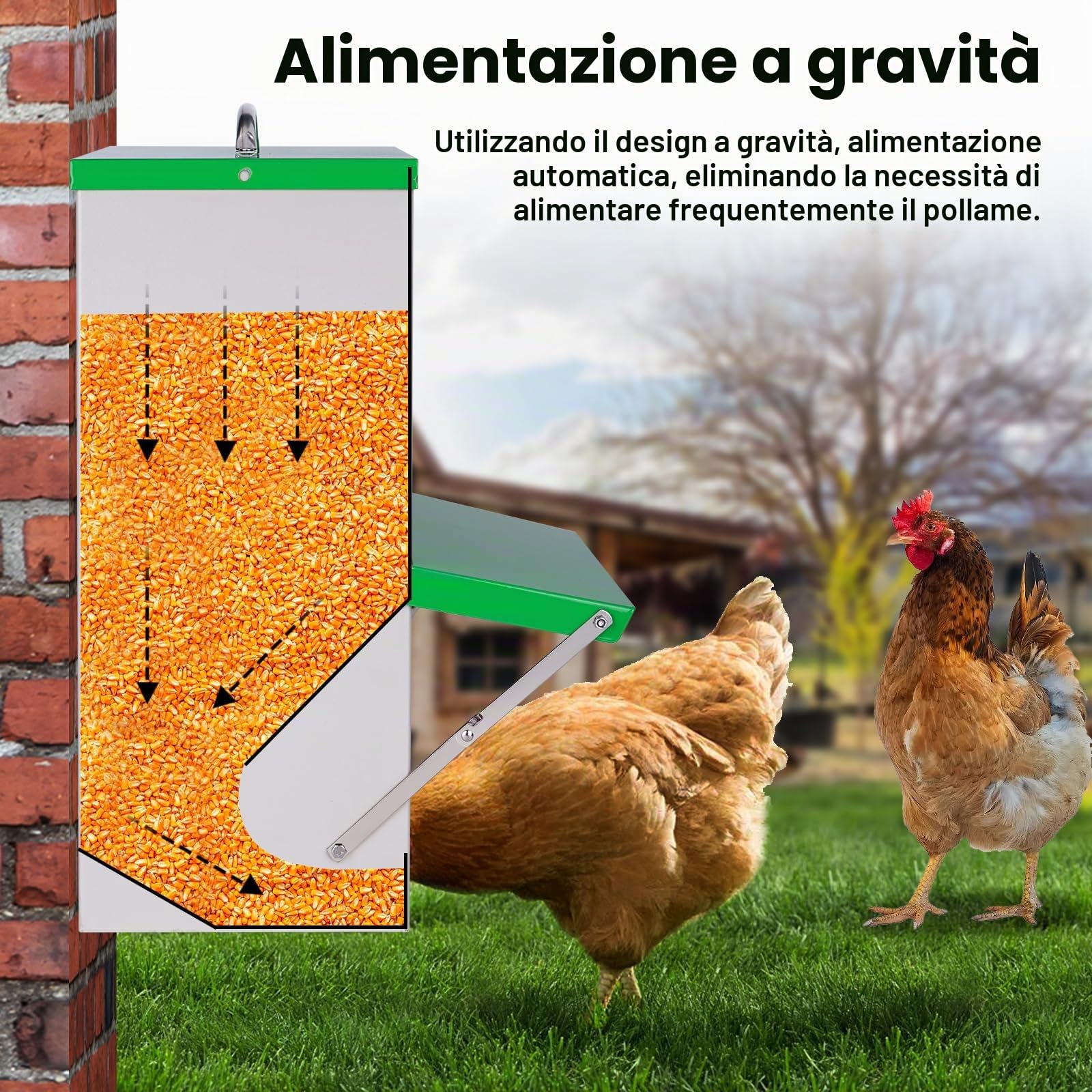 Mangiatoia per Polli, Mangiatoia Automatica per Pollame All'Aperto, Mangiatoia per Anatre da 11 Kg con Coperchio, Mangiatoia per Pollame Senza Rifiuti, Impermeabile per Polli, Anatre e Tacchini