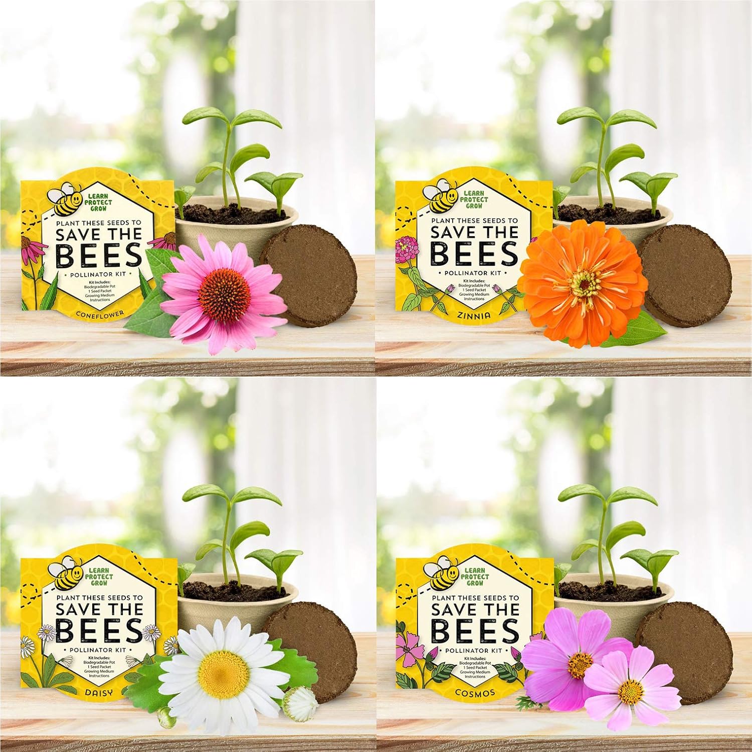 Buzzy Seeds Save The Bees Biodegradable Grow Kit Herb