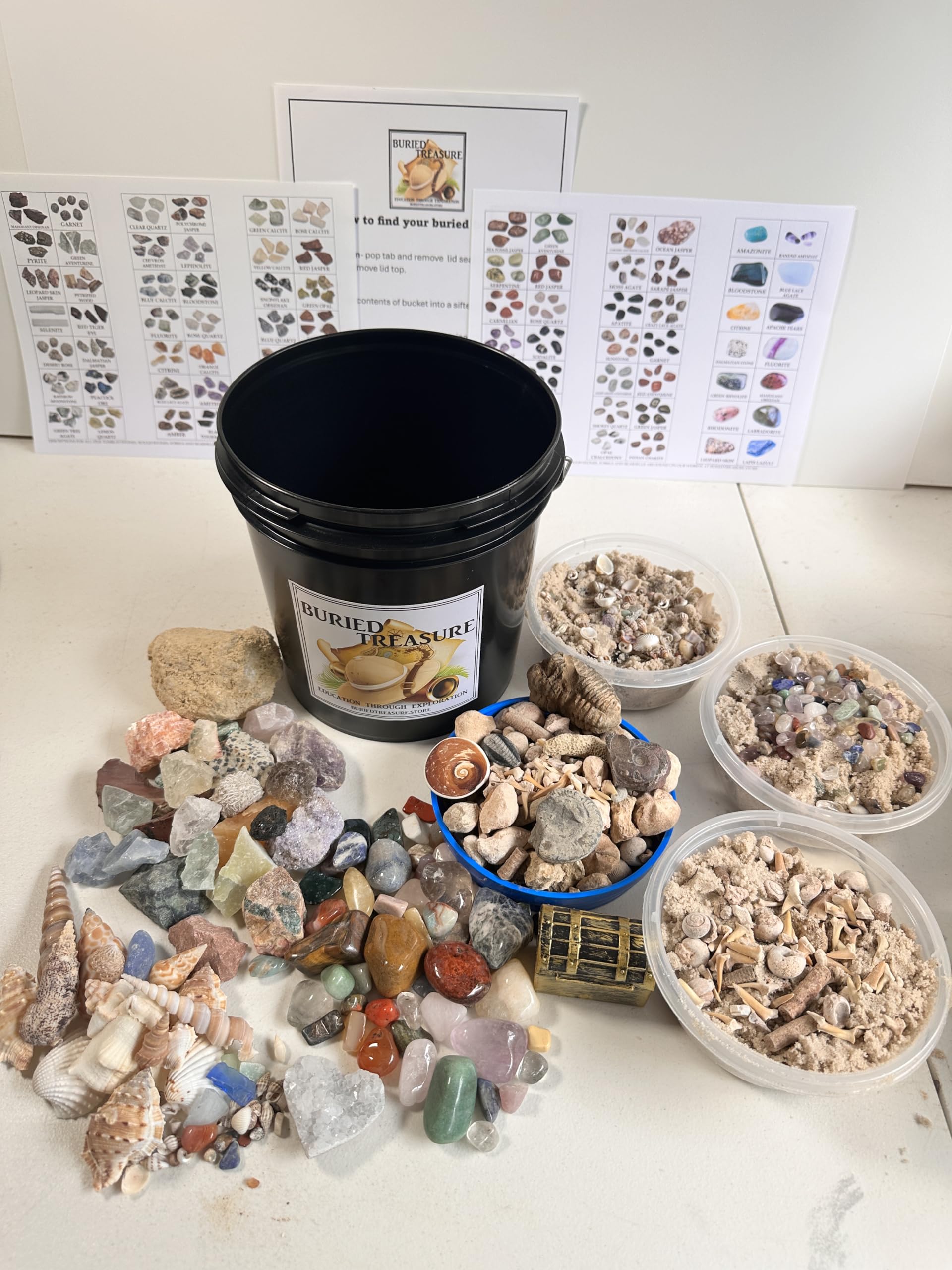 1 Gallon Fossil Mining Bucket - Educational Fossil Dig Kit With Crackable Geode