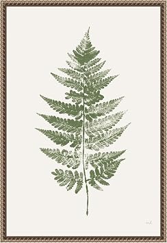 Amanti Art Framed Canvas Wall Art 23x16 Fern Print I White Crop by Moira Hershey, Framed Wall Art Canvas, Nature Artwork, Traditional Decor, Medium Poster Painting for Living Room, Bedroom, Bathroom,