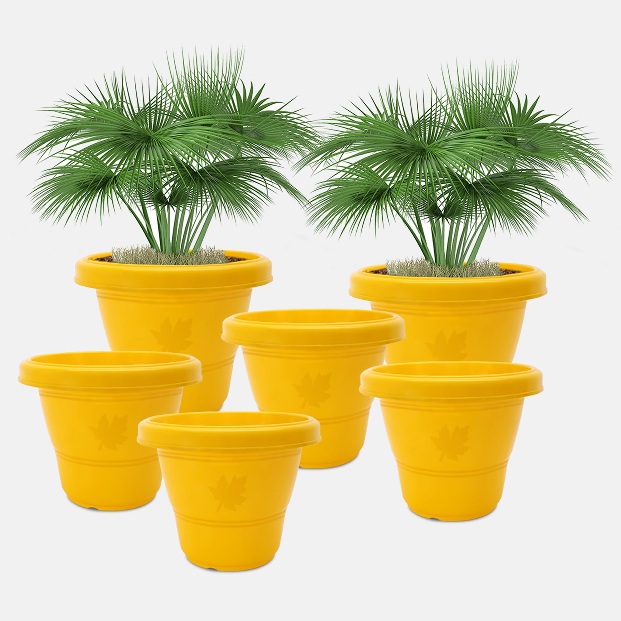YUCCABE ITALIA SHERA RD 10 INCH Plastic Flower Pots Set of 6 Pcs Round Shape Gamle Planters for Outdoor and Indoor Garden Plastic Pots for Home and Balcony (Yellow) (B09LYXXMW8) Amazon Price History, Amazon Price Tracker
