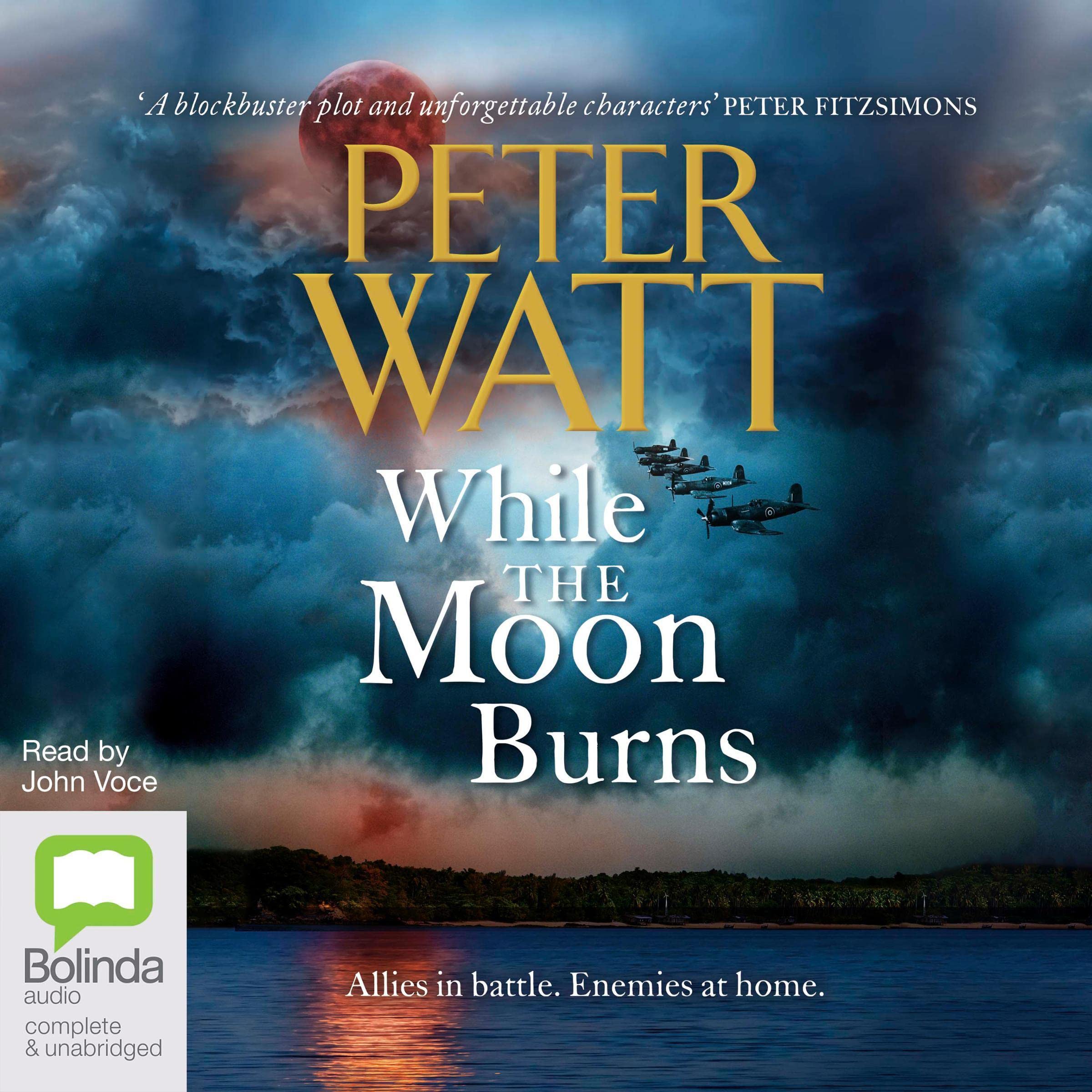 Cover art for While the Moon Burns