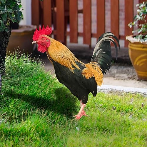 Pacoco Estatuas de jardín de gallo para decoración de escultura de pollo al aire libre, estacas acrílicas 3D, estacas de pollo, decoración de aves