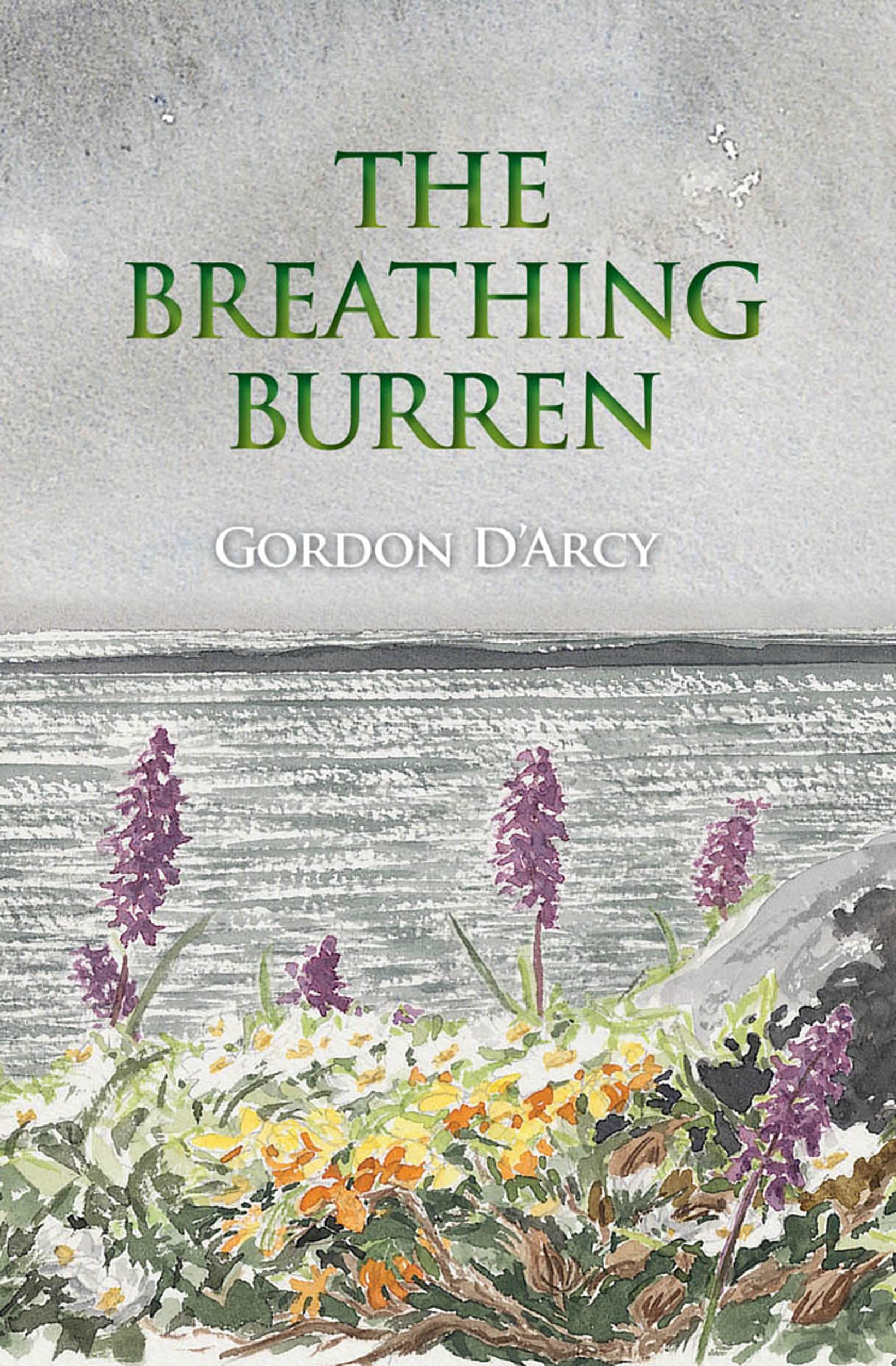 The Breathing Burren diffuseur d'huiles essentielles silencieux