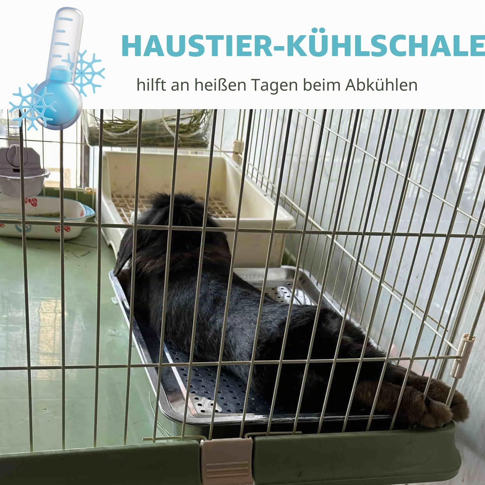Oncpcare Kühltablett für Kaninchen, Frettchen, Kühlkissen, Haustier-Hase, Kühlpfanne, kleine Haustiermatte für Kaninchen, Meerschweinchen, Frettchen, Teller Eisbett
