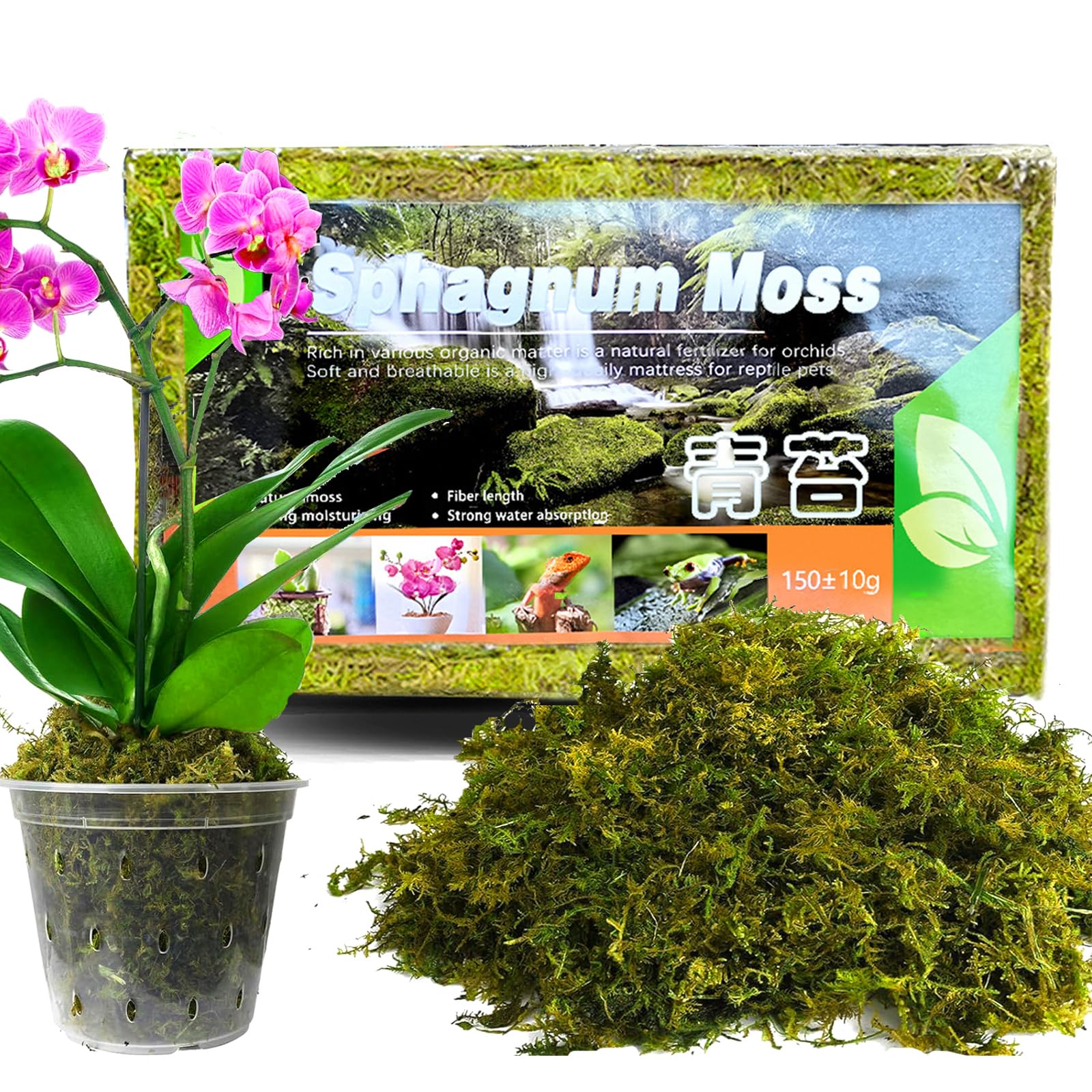 Amazon | 水苔 圧縮水苔 ミズゴケ 150g 胡蝶蘭 植え 替え水苔