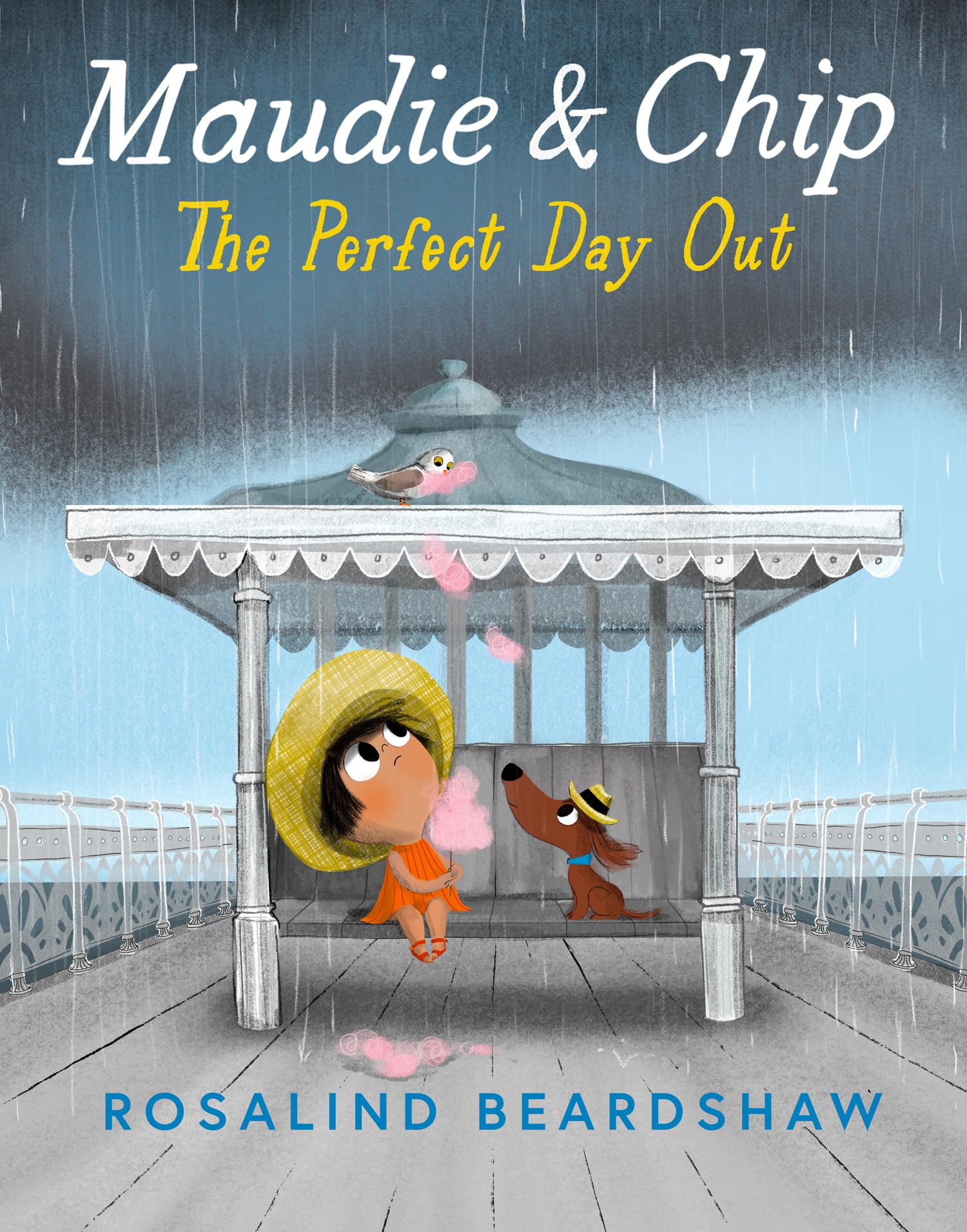 Maudie and Chip: The Perfect Day Out: The perfect illustrated children’s picture book new for 2026!