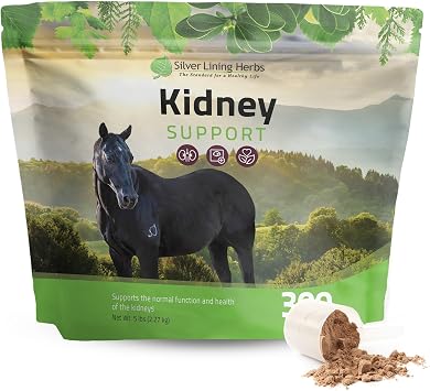 Silver Lining Herbs Kidney Support Supplement for Horses - Horse Supplements for Kidney Health and Bladder Support - Complete with Chamomile, Garlic, Juniper Berry, and More - 5 lb 300 Servings