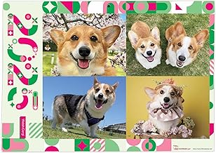 365カレンダー 2025年 ウェルシュコーギー カレンダー 壁掛け 卓上カレンダー付き 2025-004