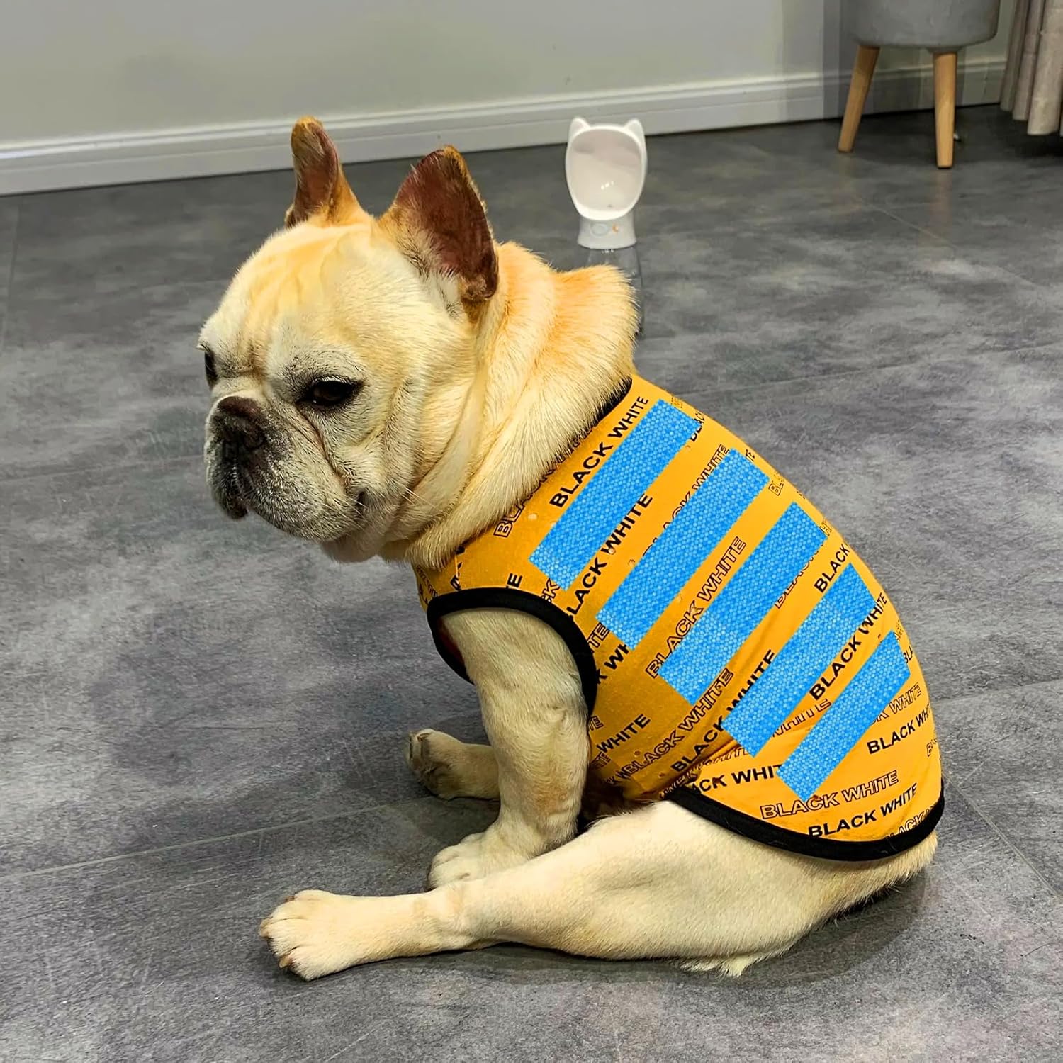 こた・ゆたママ様専用 恋はつづくよどこまでも DVD6枚組 こたママ様専用