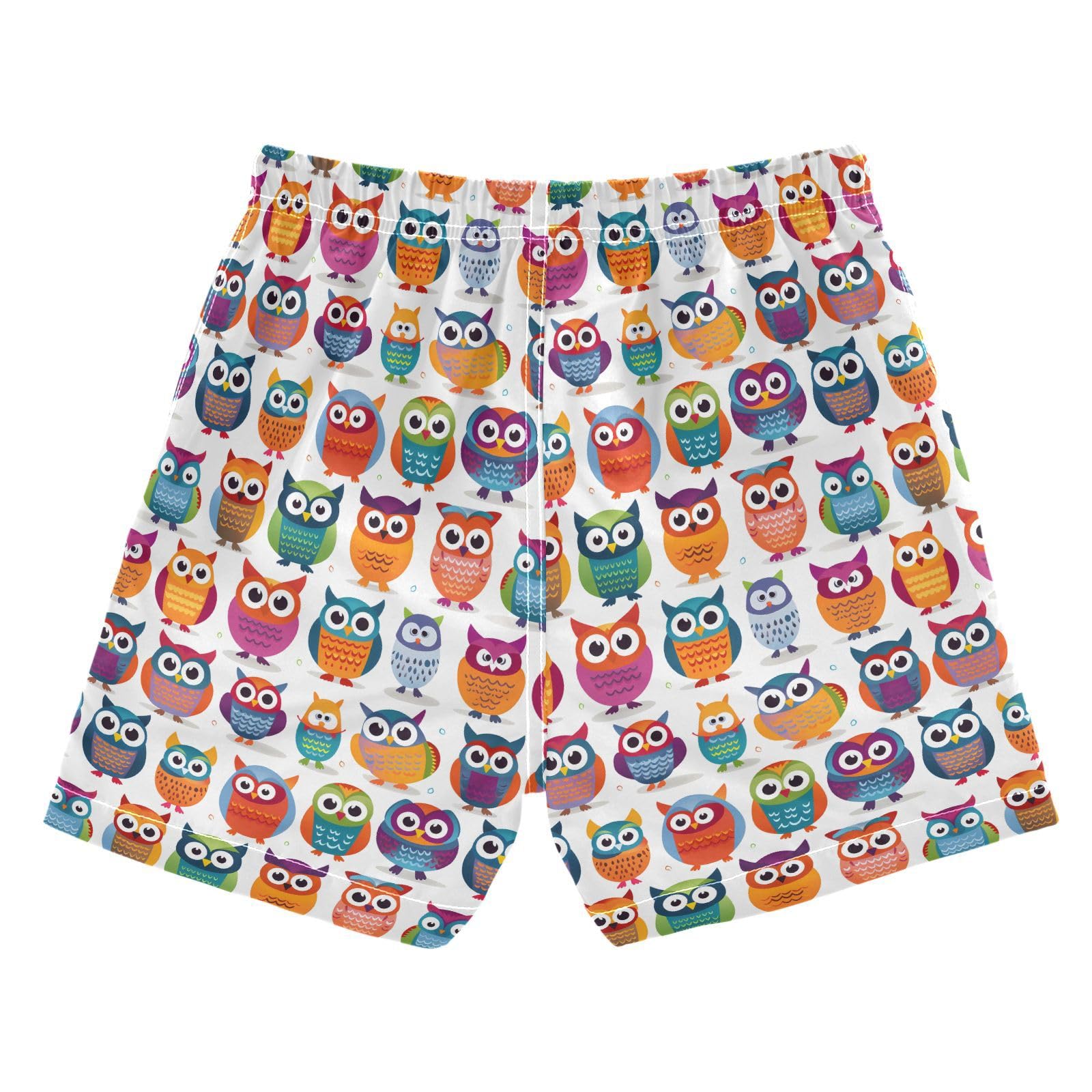 ALAZA Funny Owl Bird Owlet Boys Quick Dry Beach Board Shorts Kids Swim Trunks Bathing Suit Swimsuit 2T Multicolor