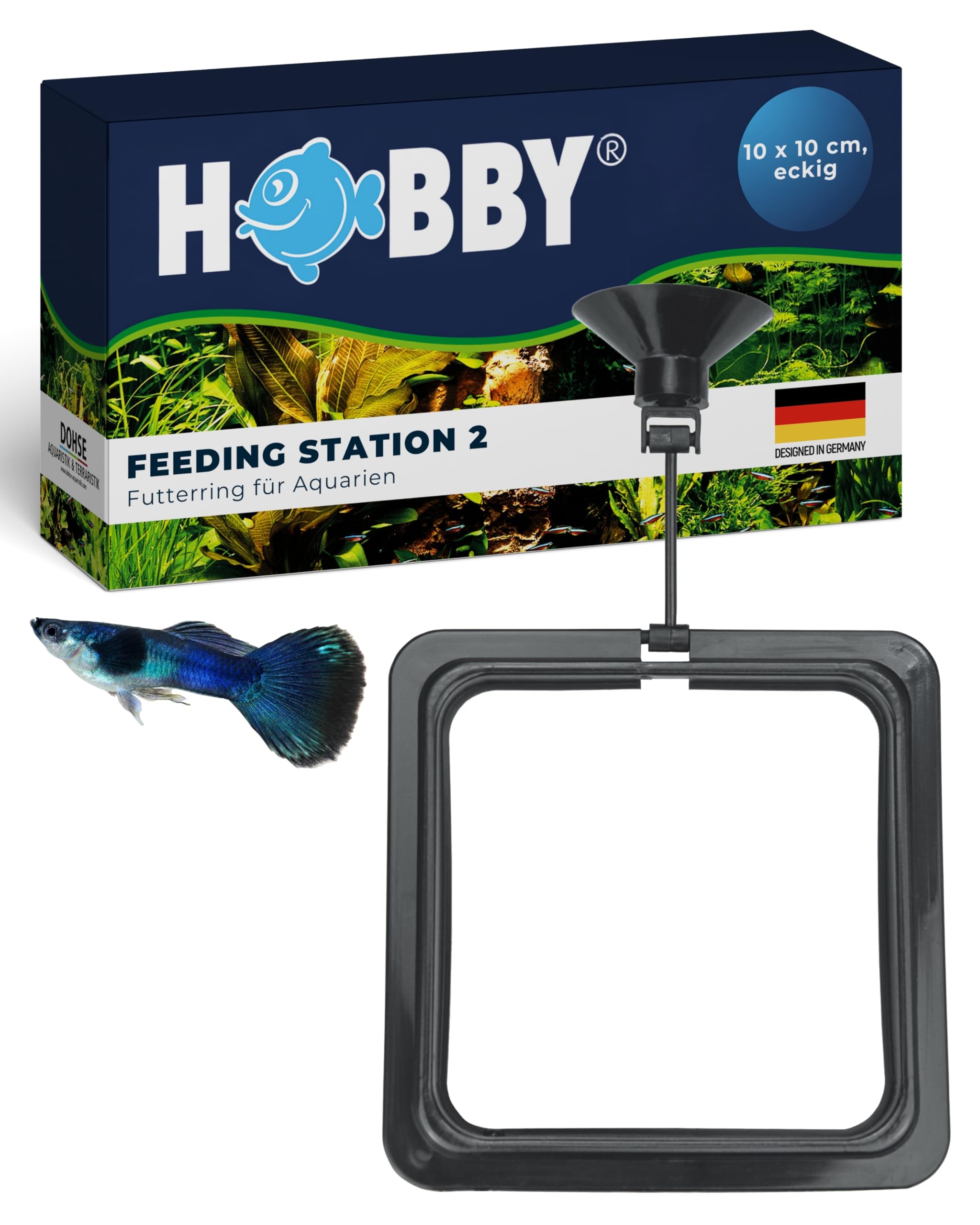 HOBBY Aquaristik Feeding Station 2 I 10 x 10 cm I Futterring für Aquarien I Futterstation für Trocken- und Lebendfutter I für gezielte und saubere Fisch Fütterung I Aquarium Zubehör