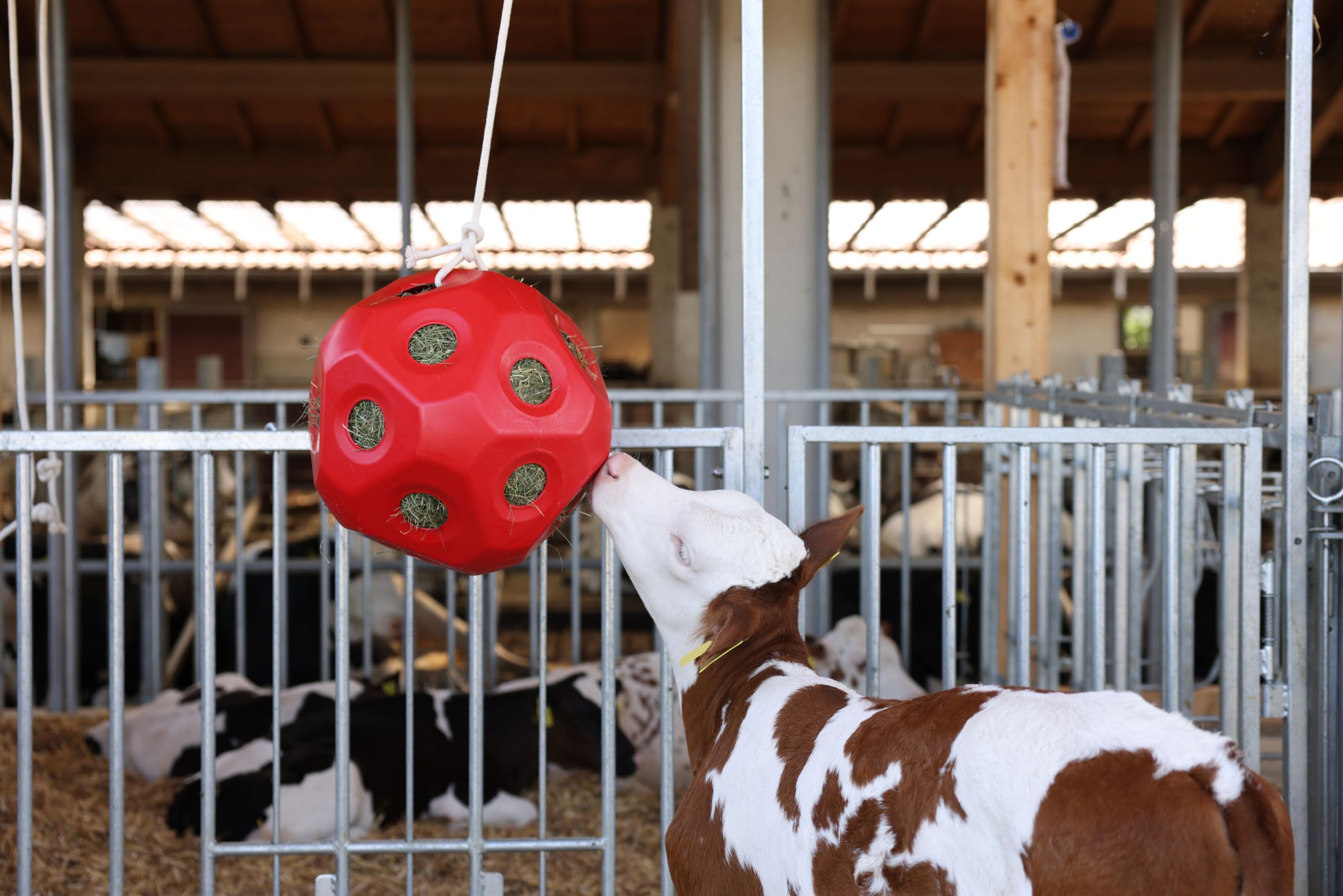 Kerbl Pelota de alimentación roja Ø40 cm rellenable para caballos y terneros