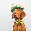 Product Photo 4