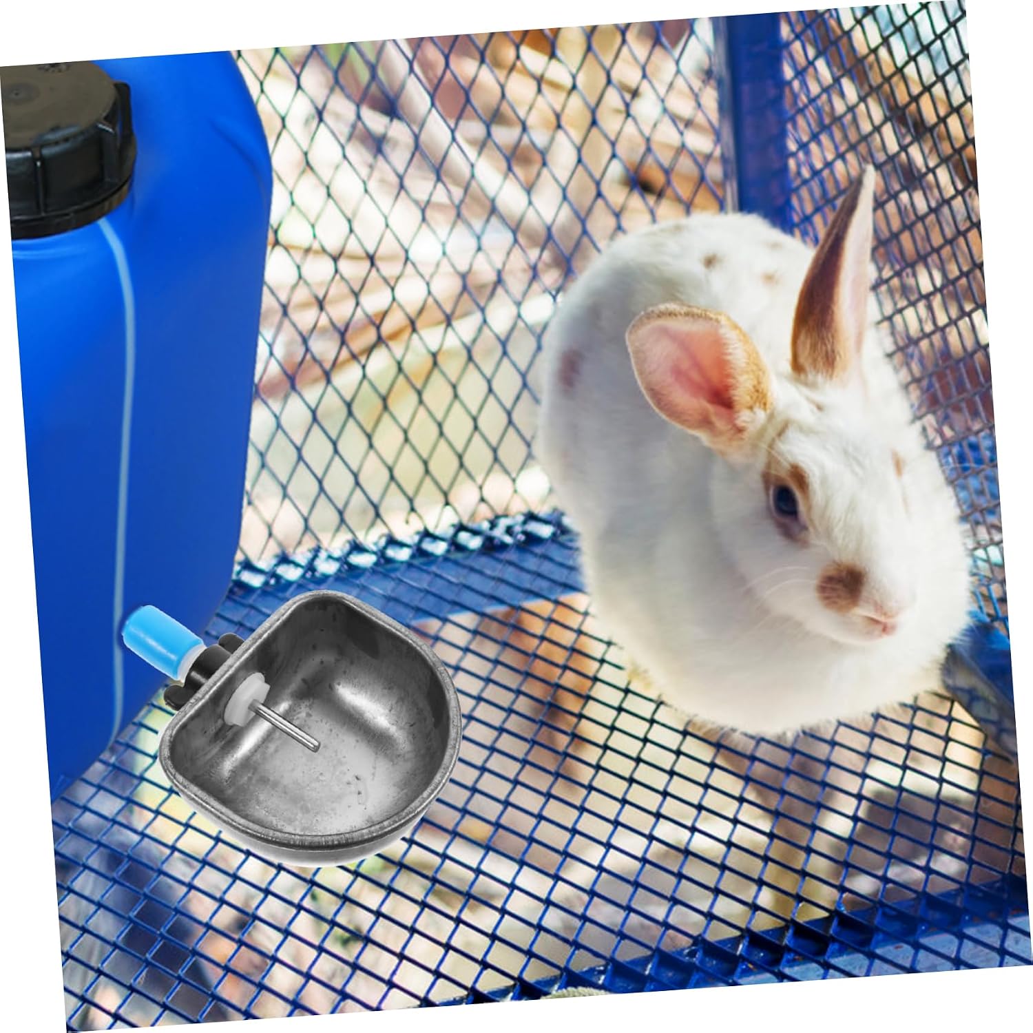 6Pcs Rabbit Water Bowl and Cage Feeder Easy Install Animal Water Drinker Convenient Automatic Watering for Bunnies