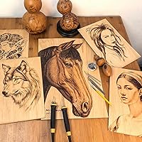 Vista 6 de El kit de quemador de madera LH55-T2-NS2 ofrece control de temperatura ajustable que varía de 200℃ a 750℃, kit de combustión de madera con 2 plumas