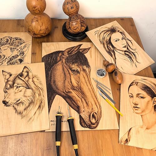 Miniatura 6 de El kit de quemador de madera LH55-T2-NS2 ofrece control de temperatura ajustable que varía de 200℃ a 750℃, kit de combustión de madera con 2 plumas