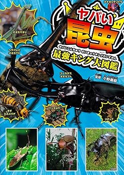 昆虫大系 昆虫体系学研究室 – 北海道大学 農学部／大学院農学院
