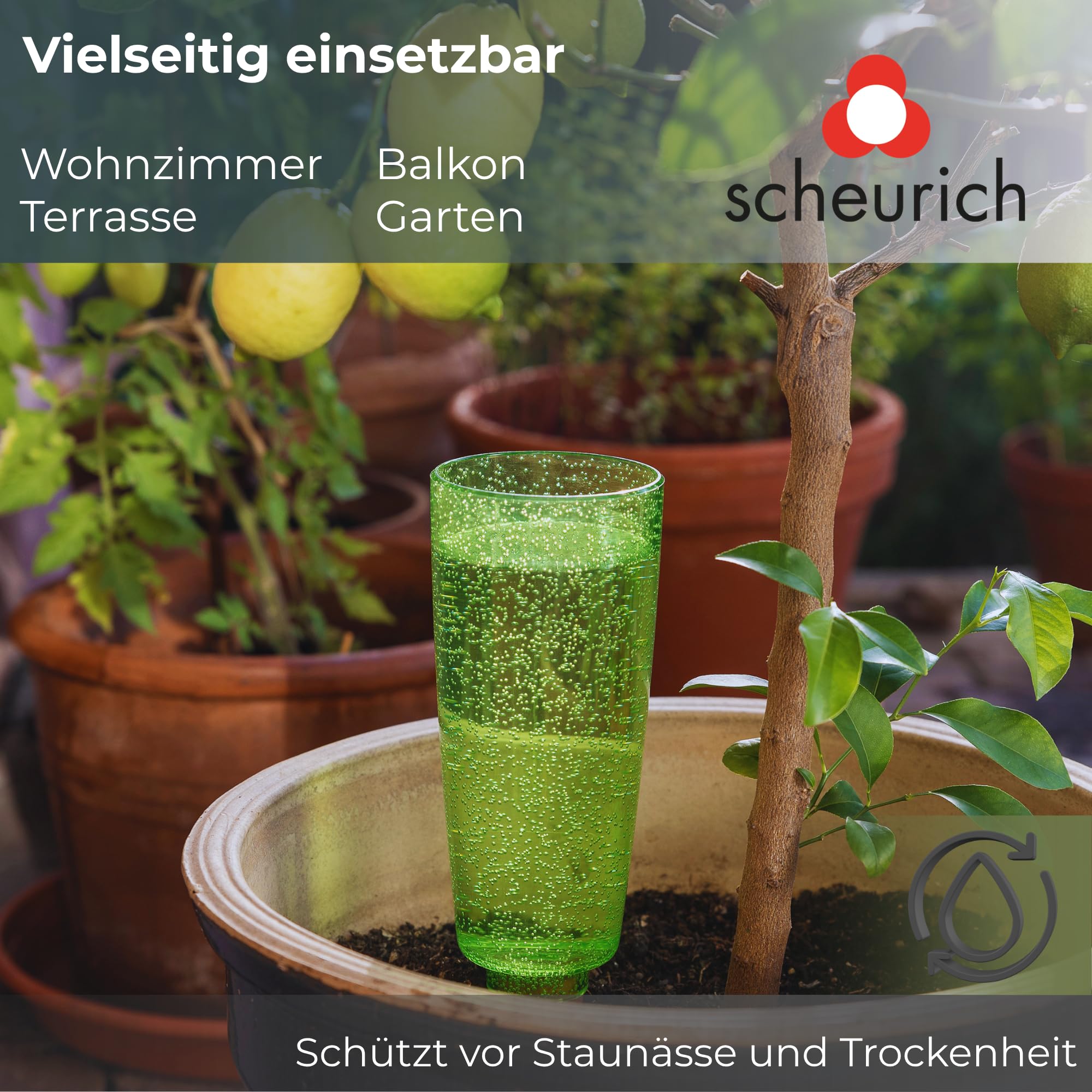 Scheurich Copa M Bewässerung Wasserspender Bewässerungskugel grün transparent (8, Grün)