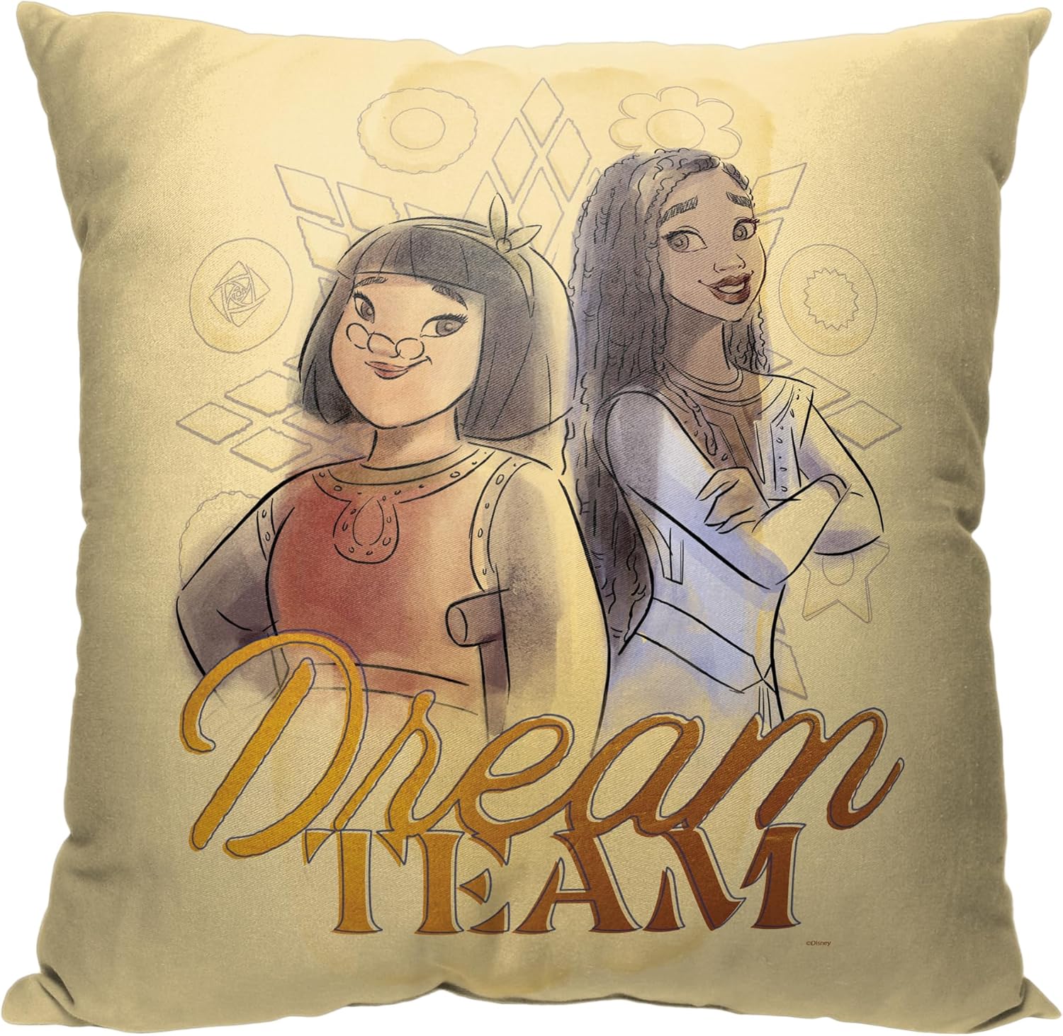Northwest Wish Pillow, 18" x 18", Dream Team Dream Team 18 x 18-Inch
