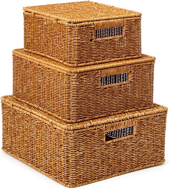 EZOWARE Set of 3 Resin Woven Storage Basket Box with Lid, Wicker Hamper Shelf Organiser Bin Containers with Side Handles for Kitchen, Living Room, Bathroom, Bedroom - Natural Brown