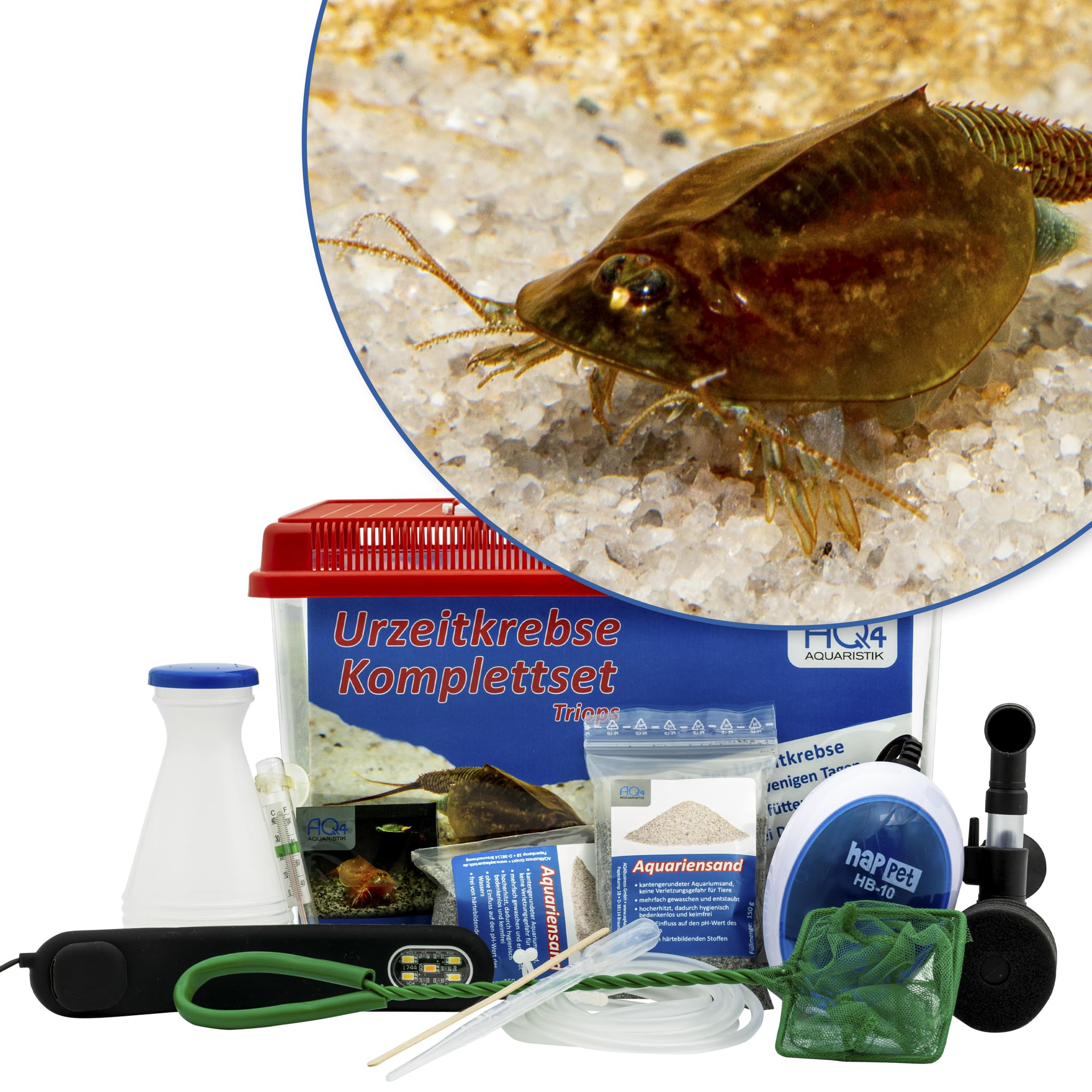 Triops cancriformis Premium Komplett-Set 6 l mit Urzeitkrebs Eiern, Becken, LED-Beleuchtung, Zuchtansatz, Filter, Luftpumpe, Kescher, Futter, Zubehör, Anleitung