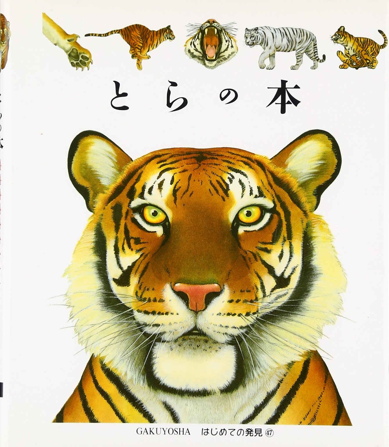 とらの本 はじめての発見 ペロル シルベーヌ ガリマールジュネス社 千史 手塚 本 通販 Amazon