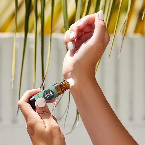 Miniatura 26 de Edens Garden Rose- Bulgarian Absolute Essential Oil Roll-On- 100% Pure Premium Grade, Natural, Therapeutic, Aromatherapy, Kid & Skin Safe, The Best