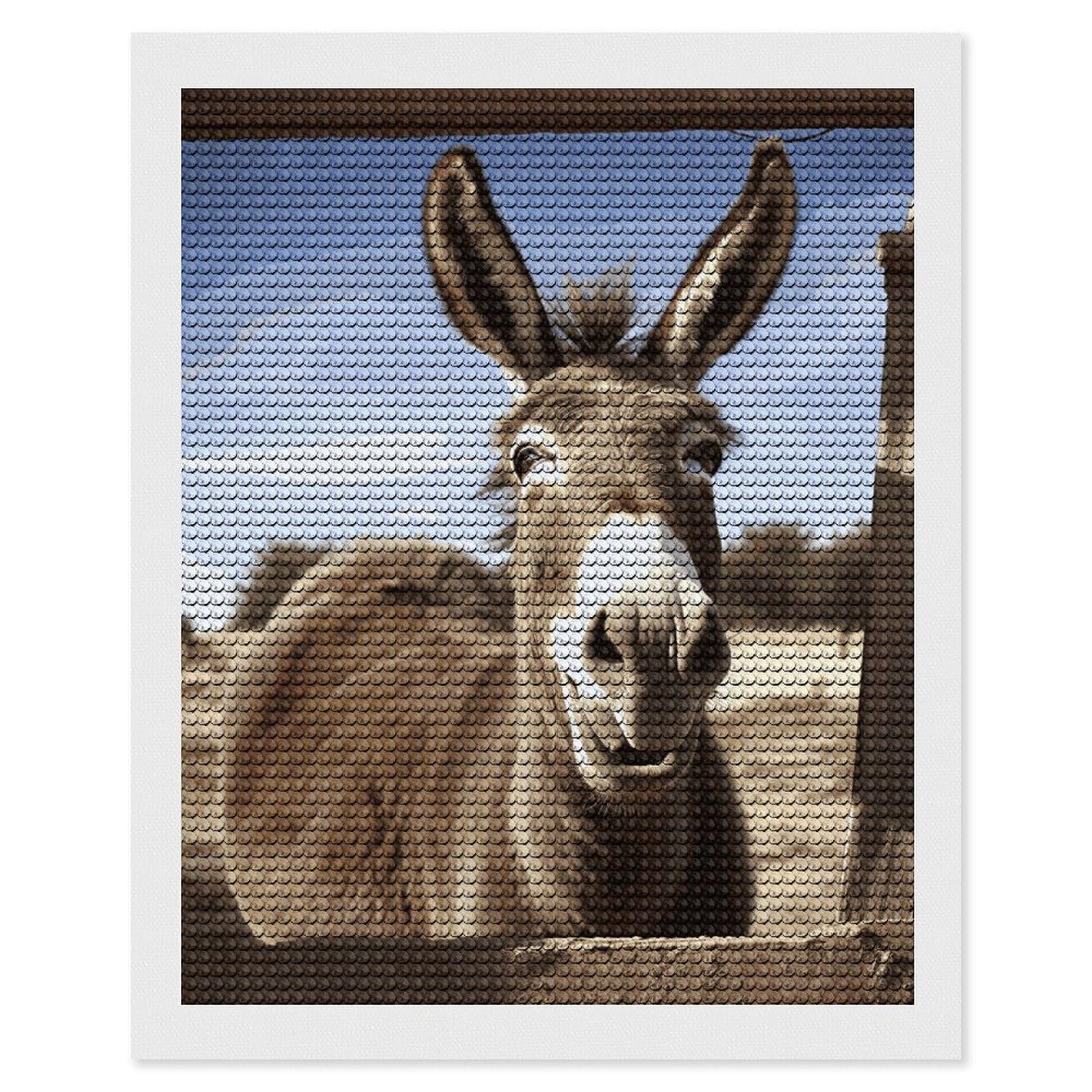 DWVTSLH Funny Donkey Diamond Painting Kits for Adults, Personalized Diamond Photo Art Full Drill, DIY 5D Diamond Art Painting Kits for Beginners, Home Wall Decor 16"x20"