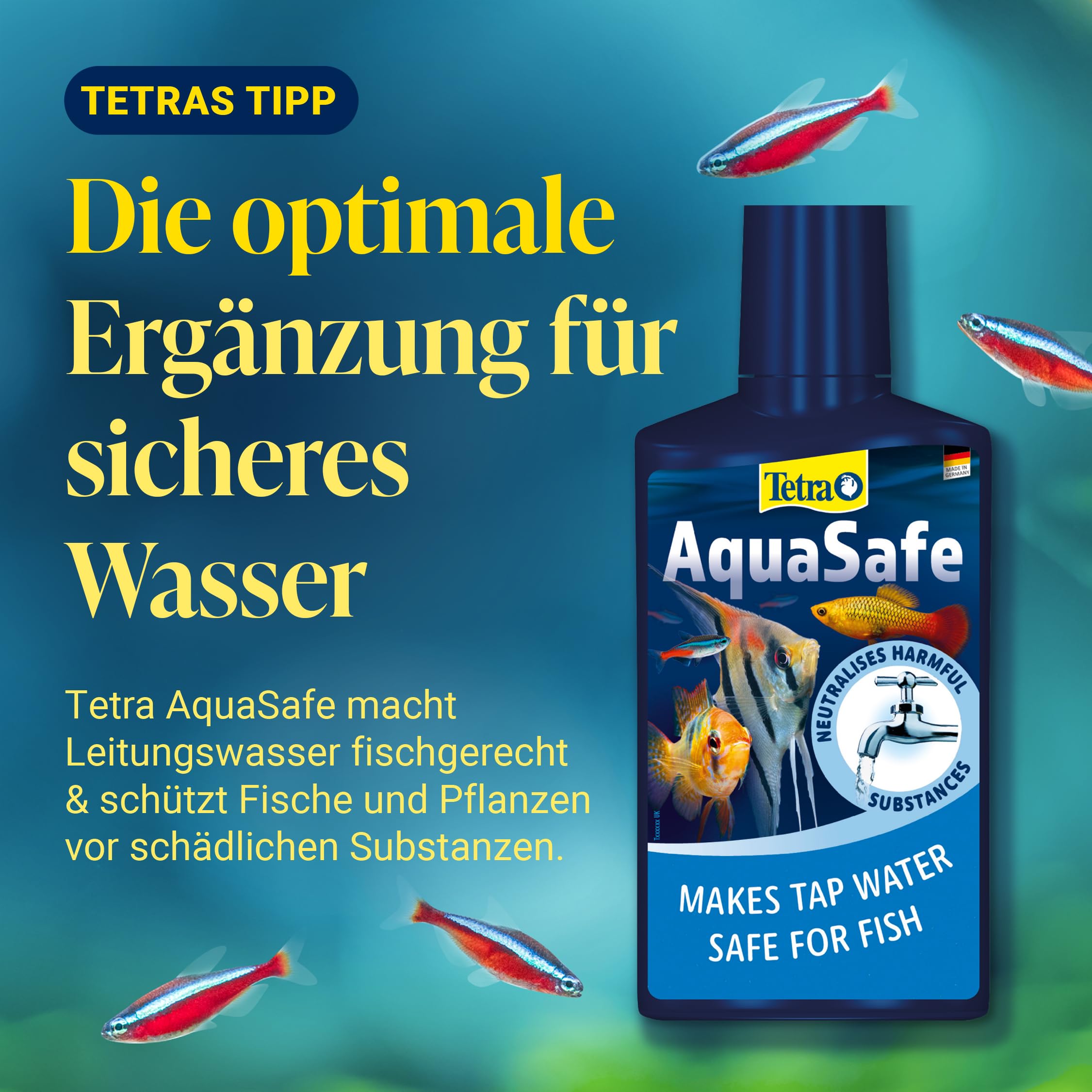 Tetra CrystalWater 250 ml, Elimina in Modo Facile e Veloce l'Intorbidimento dell'Acqua dell'Acquario
