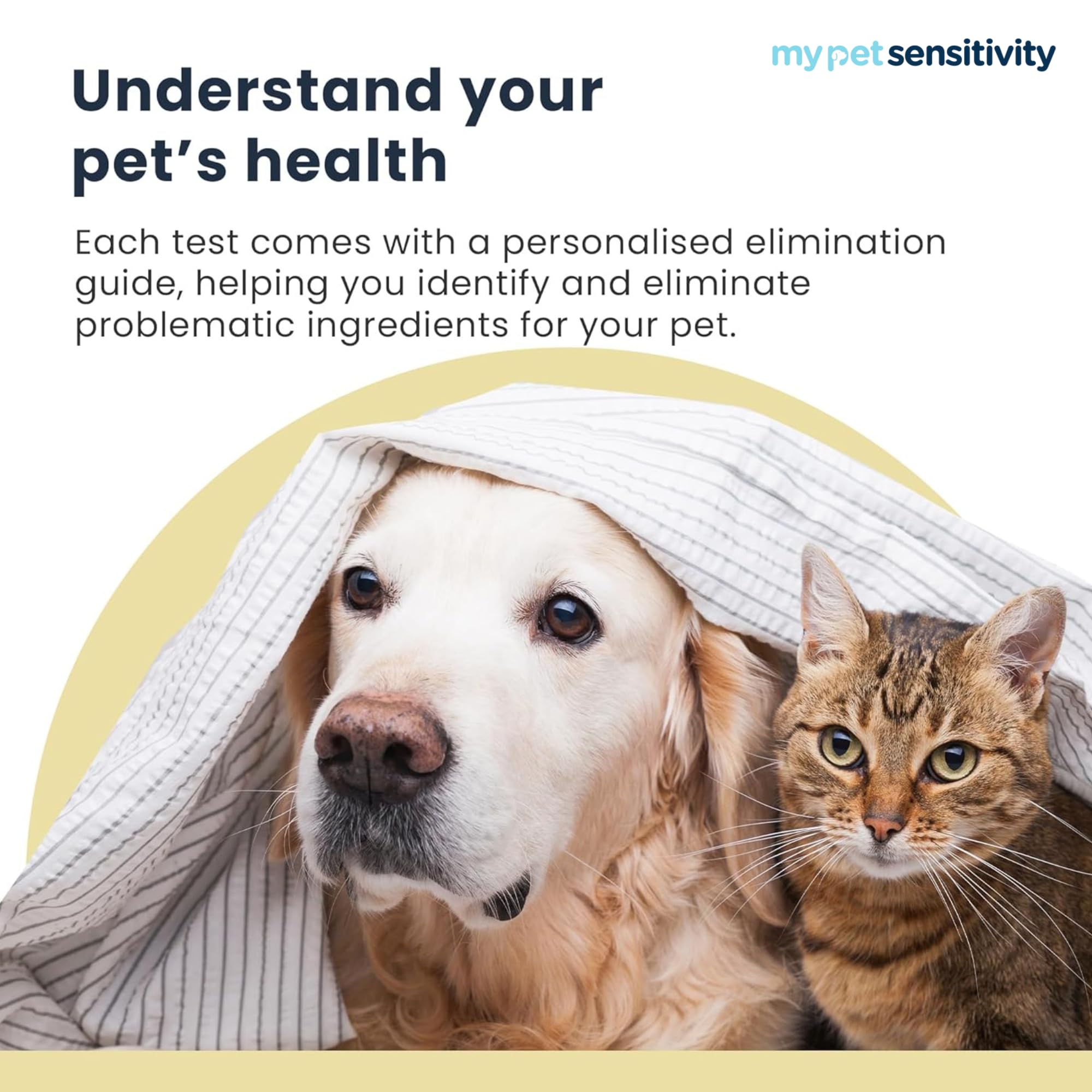 Test avanzato degli allergeni - Test allergico per animali domestici | 550 articoli | Risultati rapidi | Raccolta di capelli non invasiva | Analisi di cibo, ambiente, nutrienti e