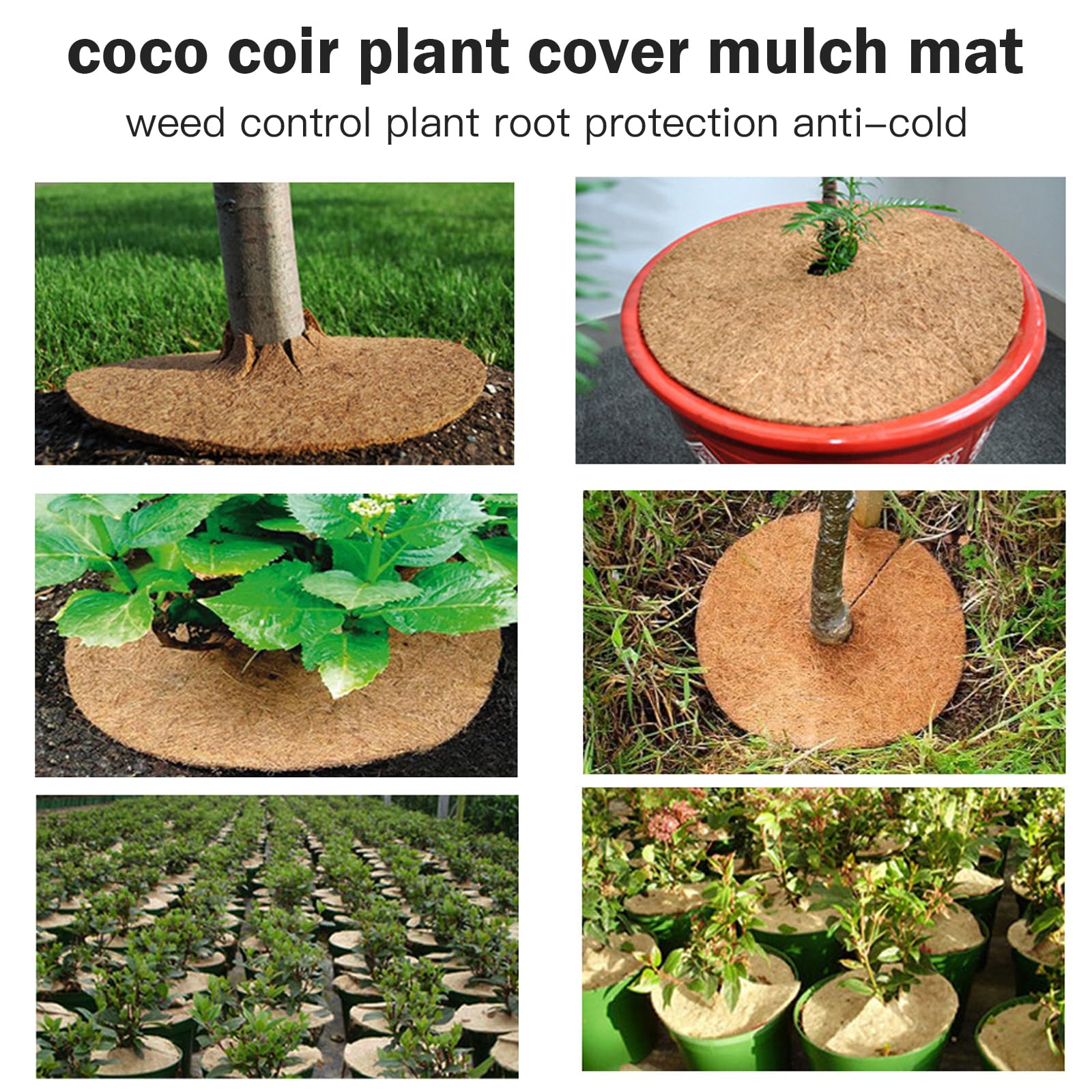 ADDLIVE 6 Stück Kokosmatten Winterschutz - 35cm Rund Für Kübelpflanzen