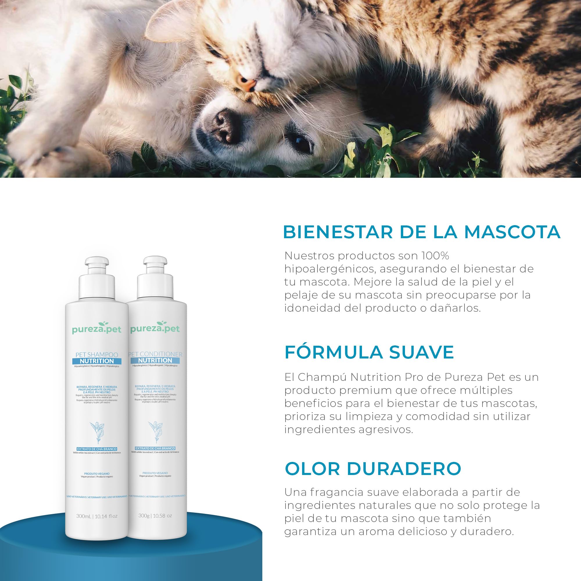 PUREZA PET Champú Nutrition Pro Hipoalergénico 1L - Línea Profesional - Nutrición y Reestructuración del Pelo de Perros y Gatos - Vegano, Sin Parabenos, Silicona y Sulfatos