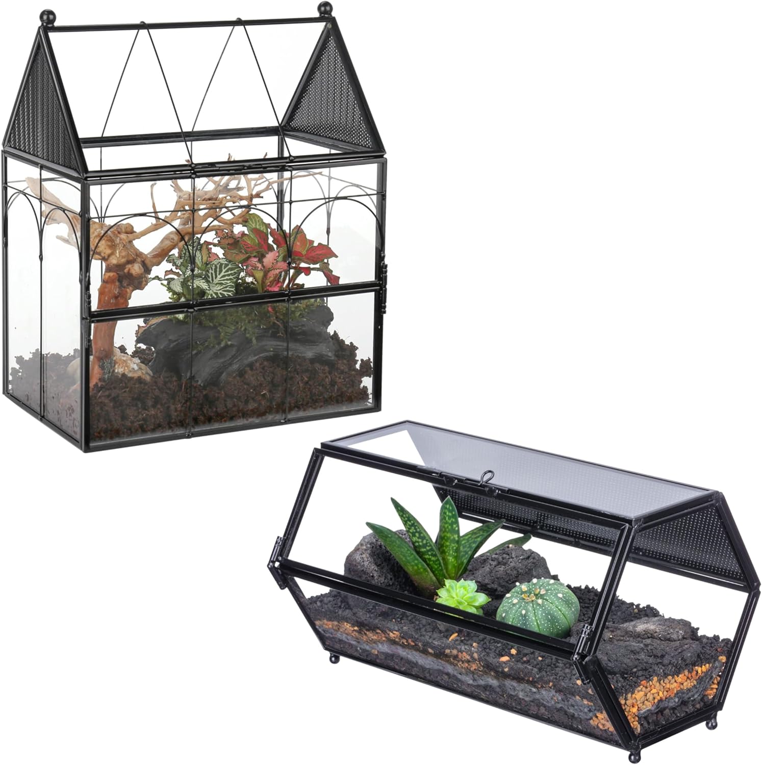 NCYP Horizontal Hexagon-Shaped Glass Enclosure with Mesh and Door, and House-Shaped Terrarium Enclosure with Mesh and Door, for Jumping Spider