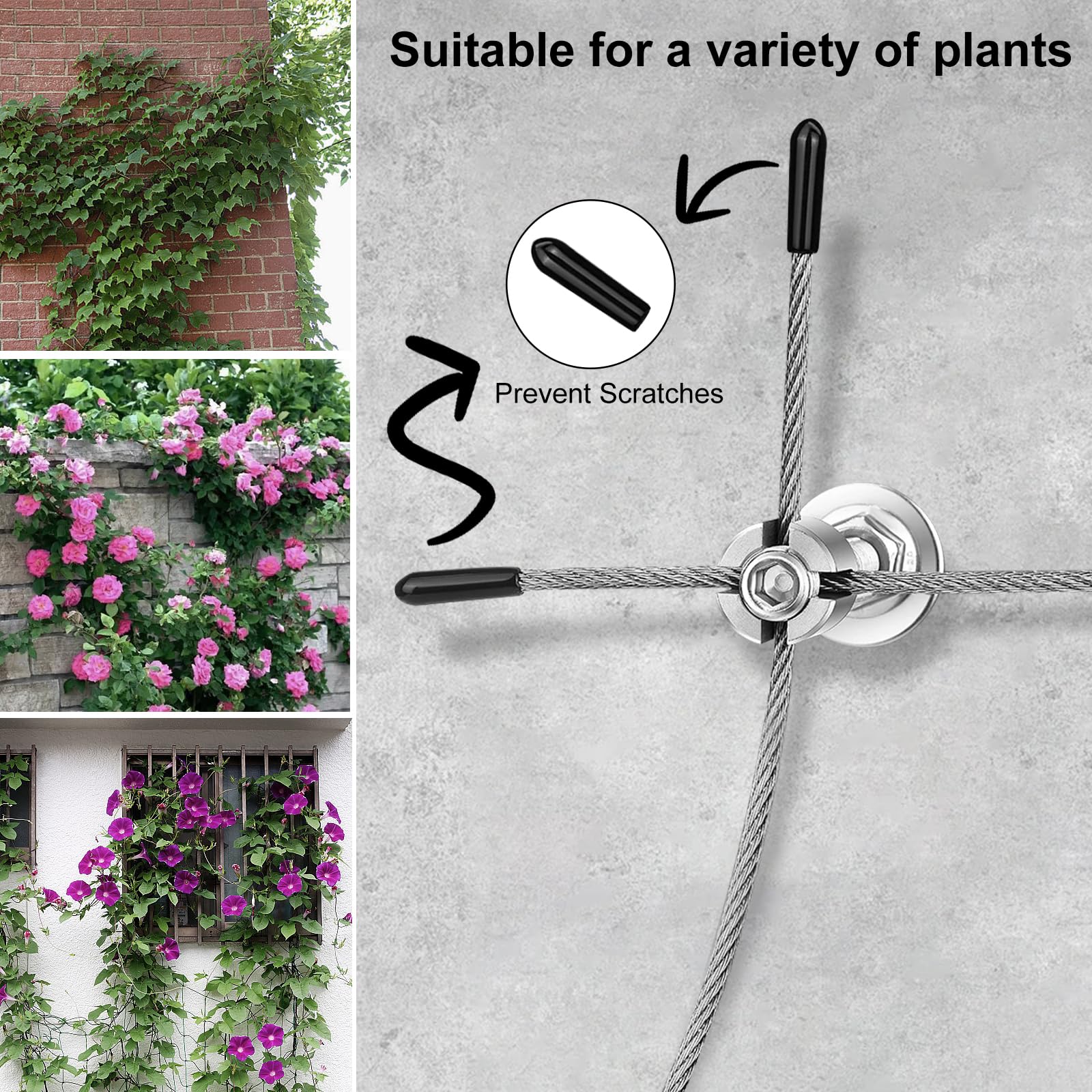 Estructura De Soporte Para Plantas Trepadoras - Cuerda De Acero Inoxidable De 3mm Y 12m, Con 8 Soportes De Pared