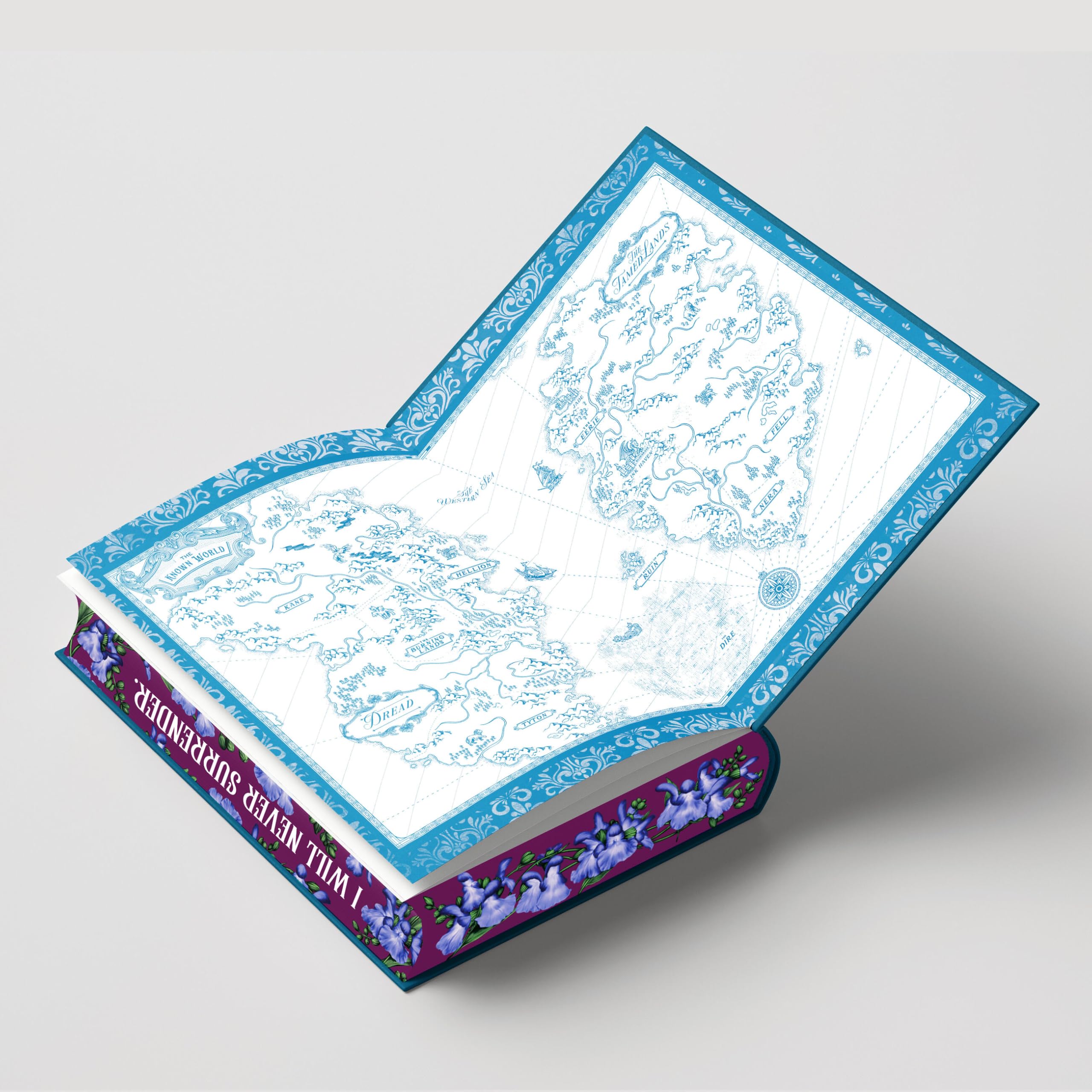 Cursebreaker (Deluxe Limited Edition): 3 (Nightweaver)