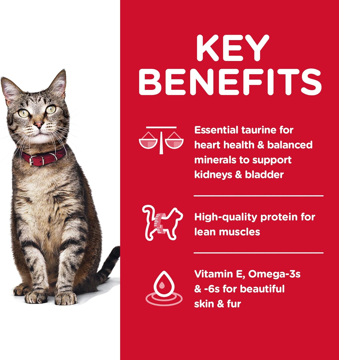 Hill's Science Diet Dry Cat Food, Adult, Chicken Recipe, 7 lb. Bag : Dry Pet Food : Pet Supplies