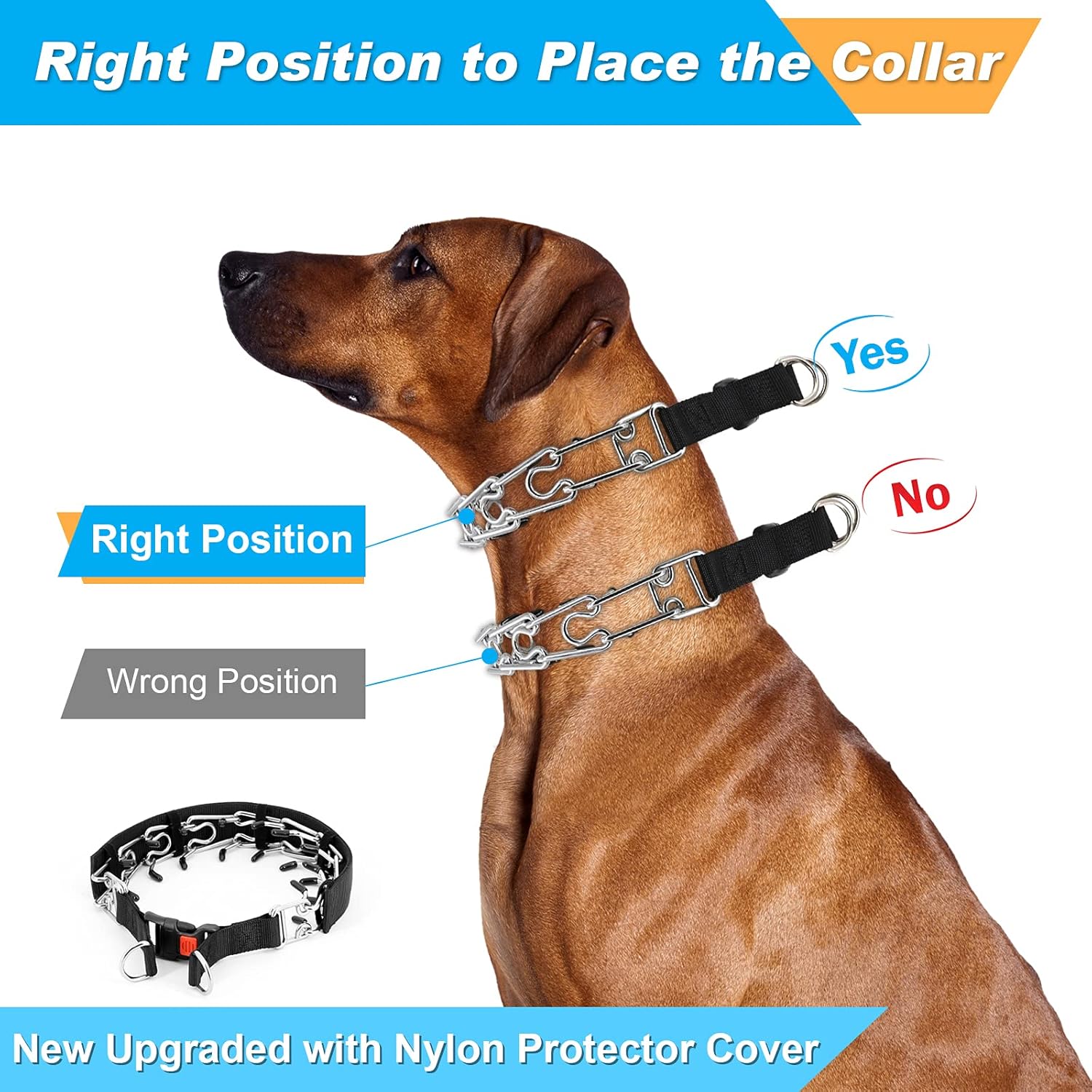 Are Pinch Collars Harmful To Dogs