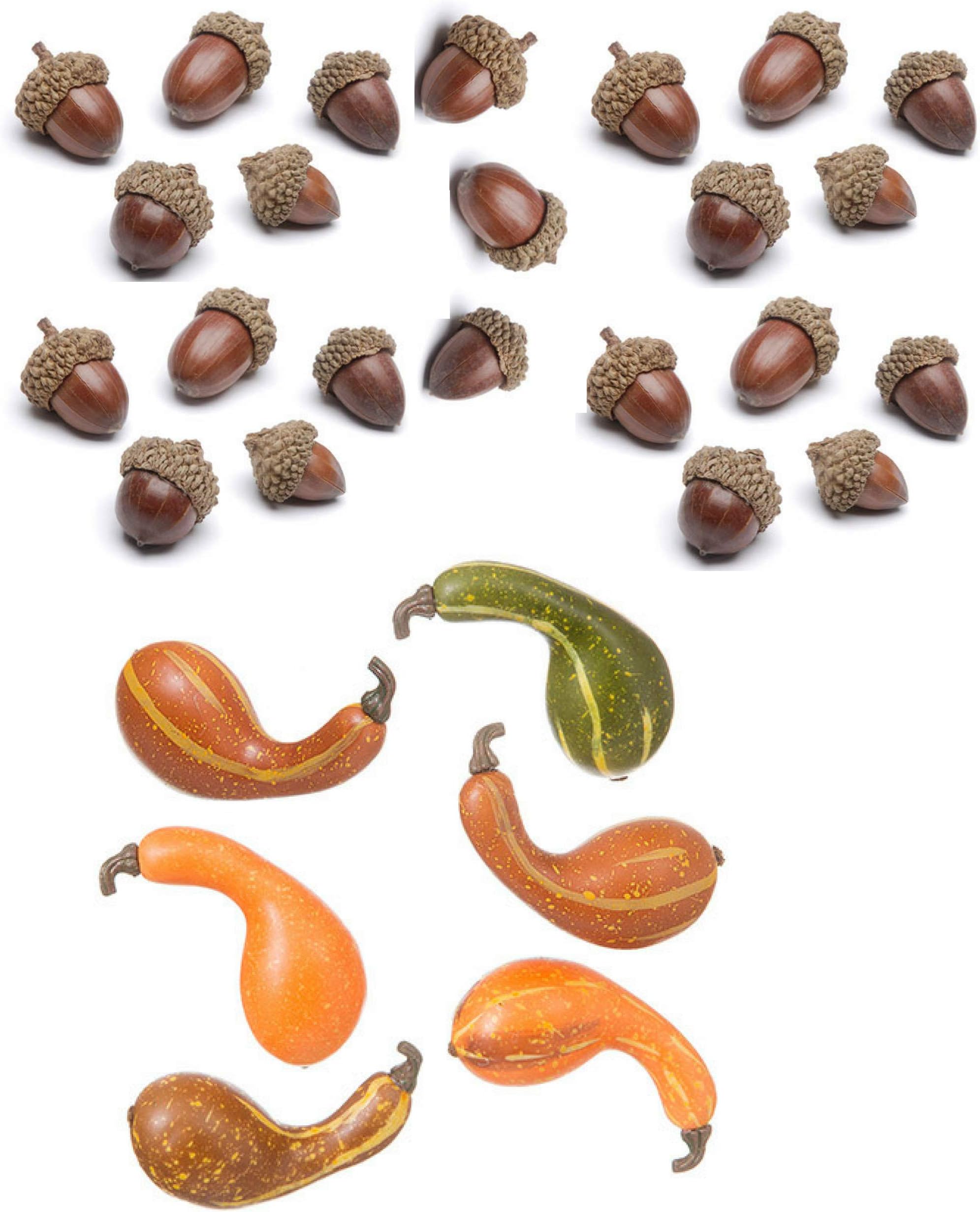 Fall Harvest Decorations Mini Gourds and Acorns Table Scatter Vase Filler Autumn Decor (2 Pack)