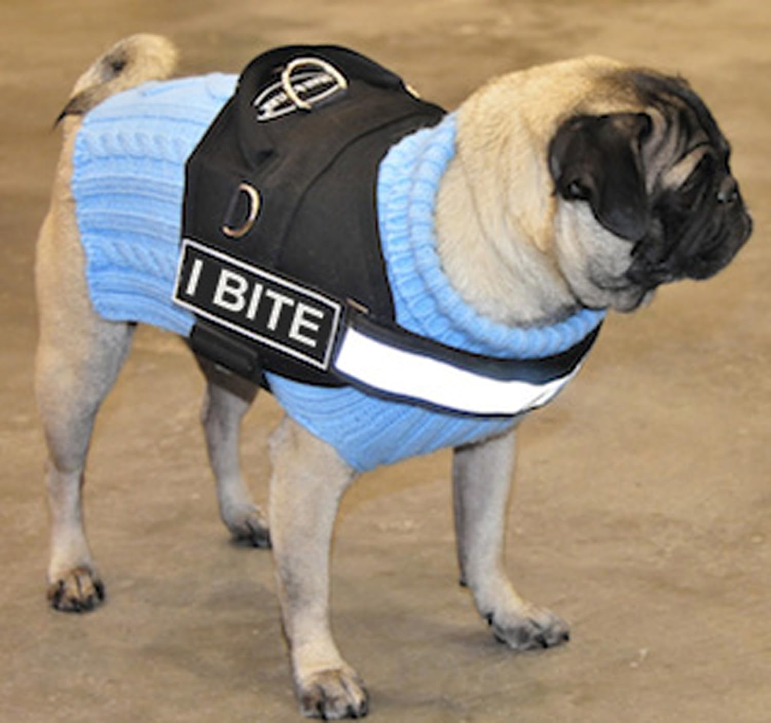 DT Works I Bite Harness, Large