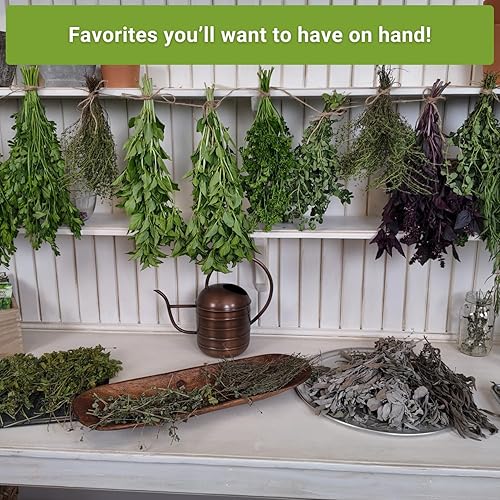 Miniatura 5 de Sow Right Seeds - Colección de semillas de jardín de hierbas perennes - menta, lavanda, salvia, cebollino común, bálsamo de limón, cebollino de ajo,