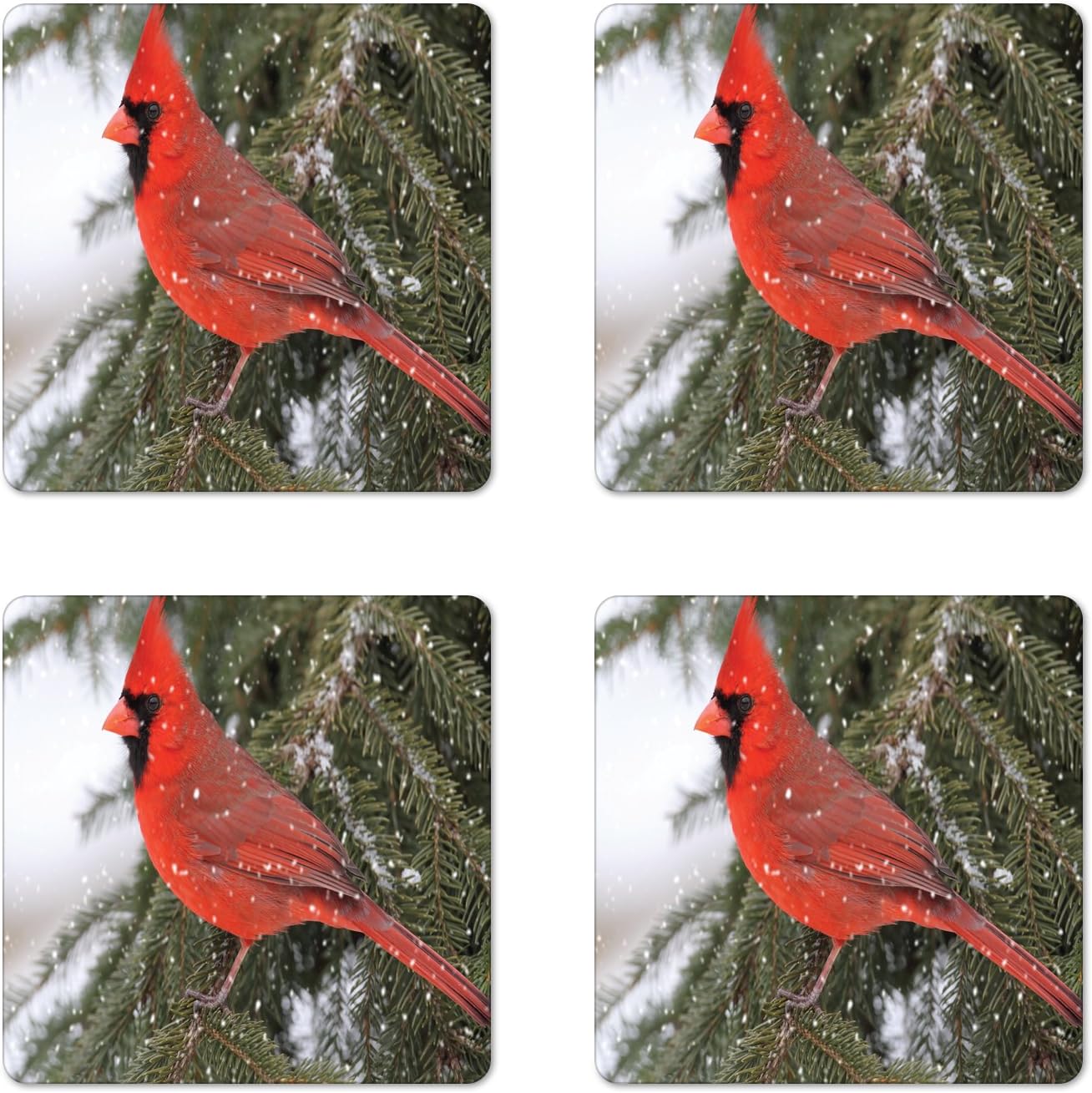 Free Shipping Offer Lunarable Cardinal Coaster Set of 4, Northern Cardinal Bird Standing on a Pine Tree Branch in Winter Season, Square Hardboard Gloss Coasters, Standard Size, Fern Green Best Quality 🔥 Lunarable Cardinal Coaster Set of 4, Northern Cardinal Bird Standing on a Pine Tree Branch in Winter Season, Square Hardboard Gloss Coasters, Standard Size, Fern Green