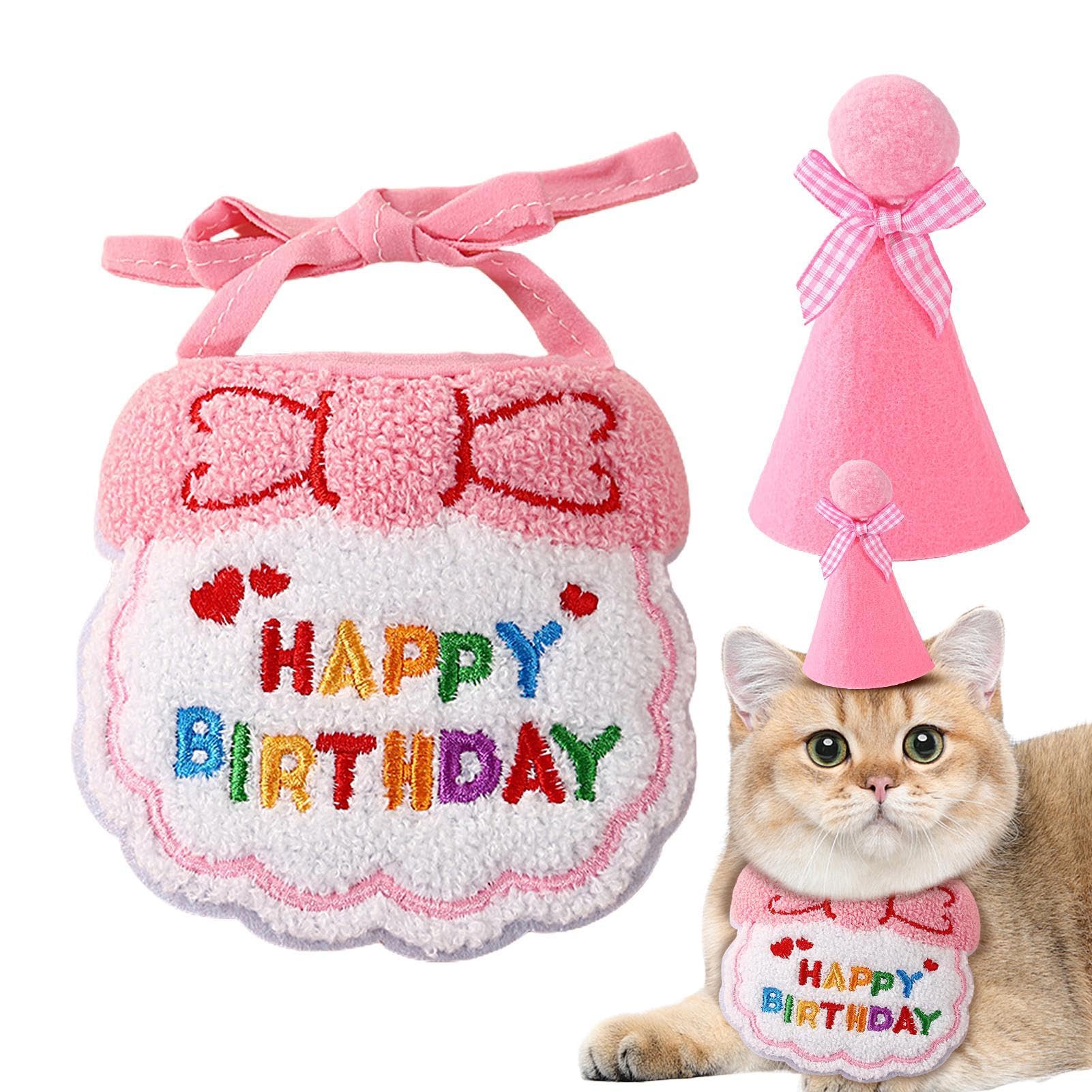 Katzengeburtstagsset – Blauer Hut Mit Zahlen & 'Happy Birthday' Schal Für Haustierfotos & Party
