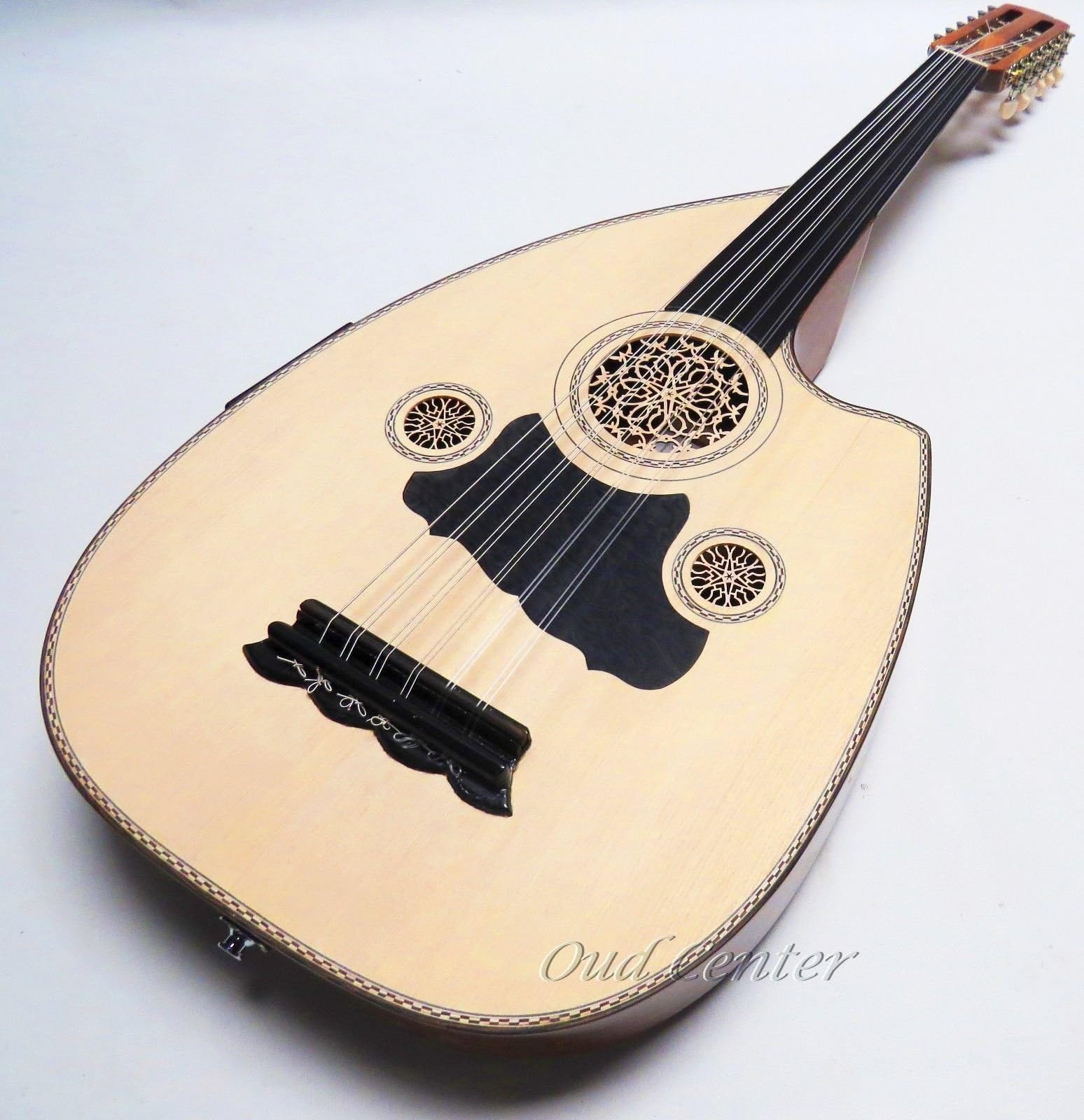 Professional Electric/Acoustic Cut Away Sandi Oud, Fretless Guitar!