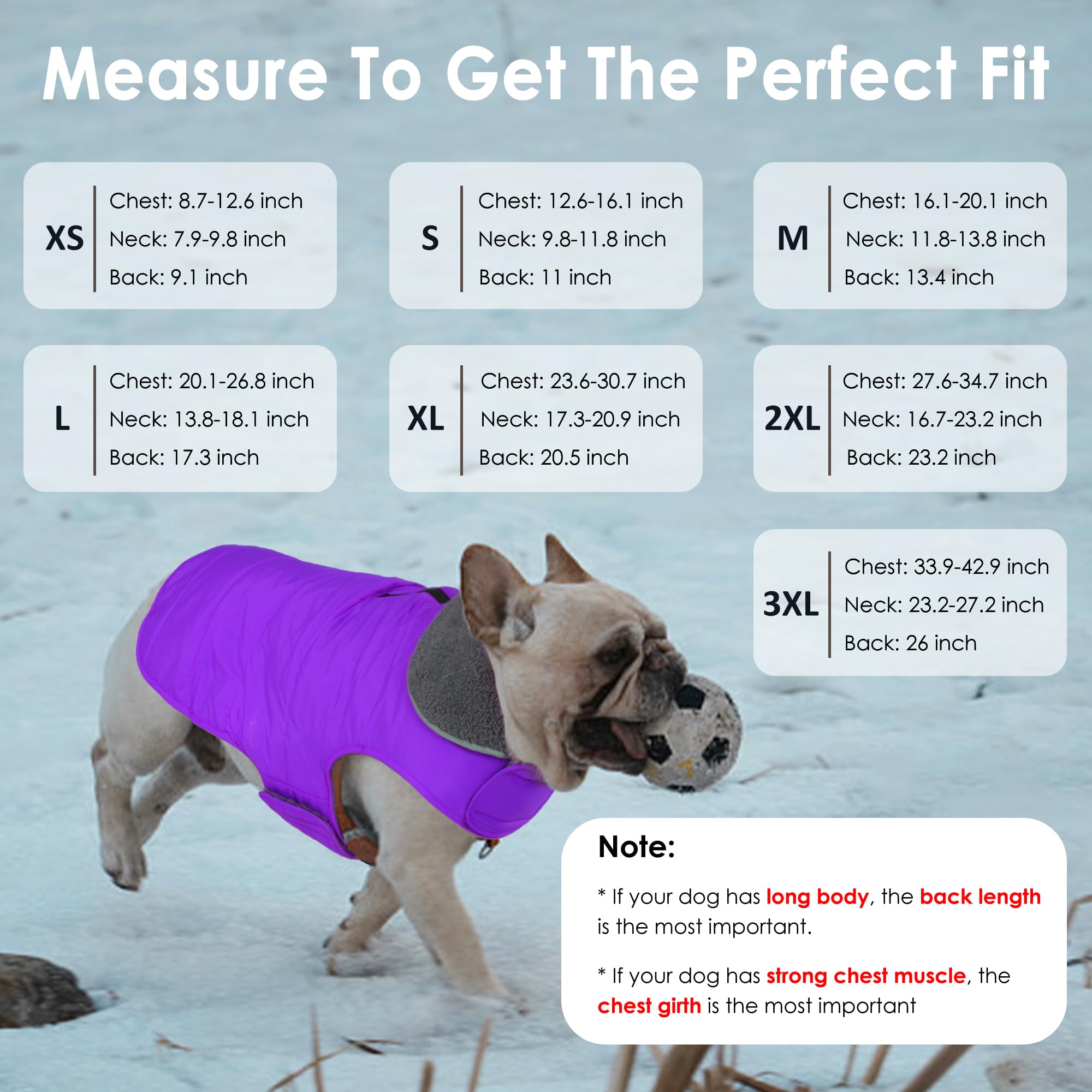 Petglad Abrigo de invierno para perro, chaqueta impermeable para perro con agujero para correa, chaleco reflectante ajustable para mascotas, suéter de forro polar cálido para perros pequeños, medianos