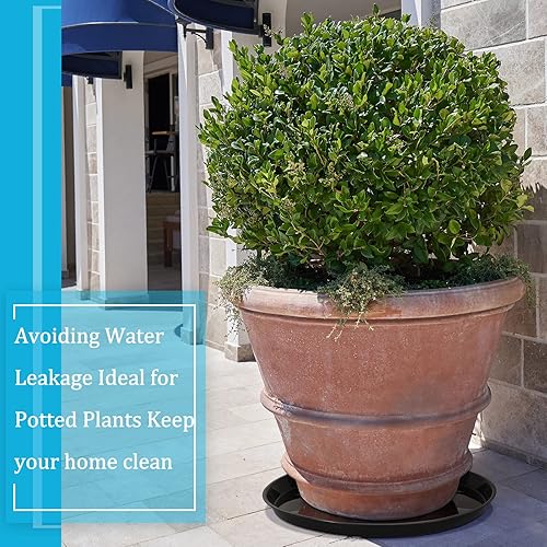 Miniatura 6 de Eccliy Paquete de 10 platillos grandes de plástico para plantas, platillos para macetas de alta resistencia, platillos jumbo, bandejas de agua de