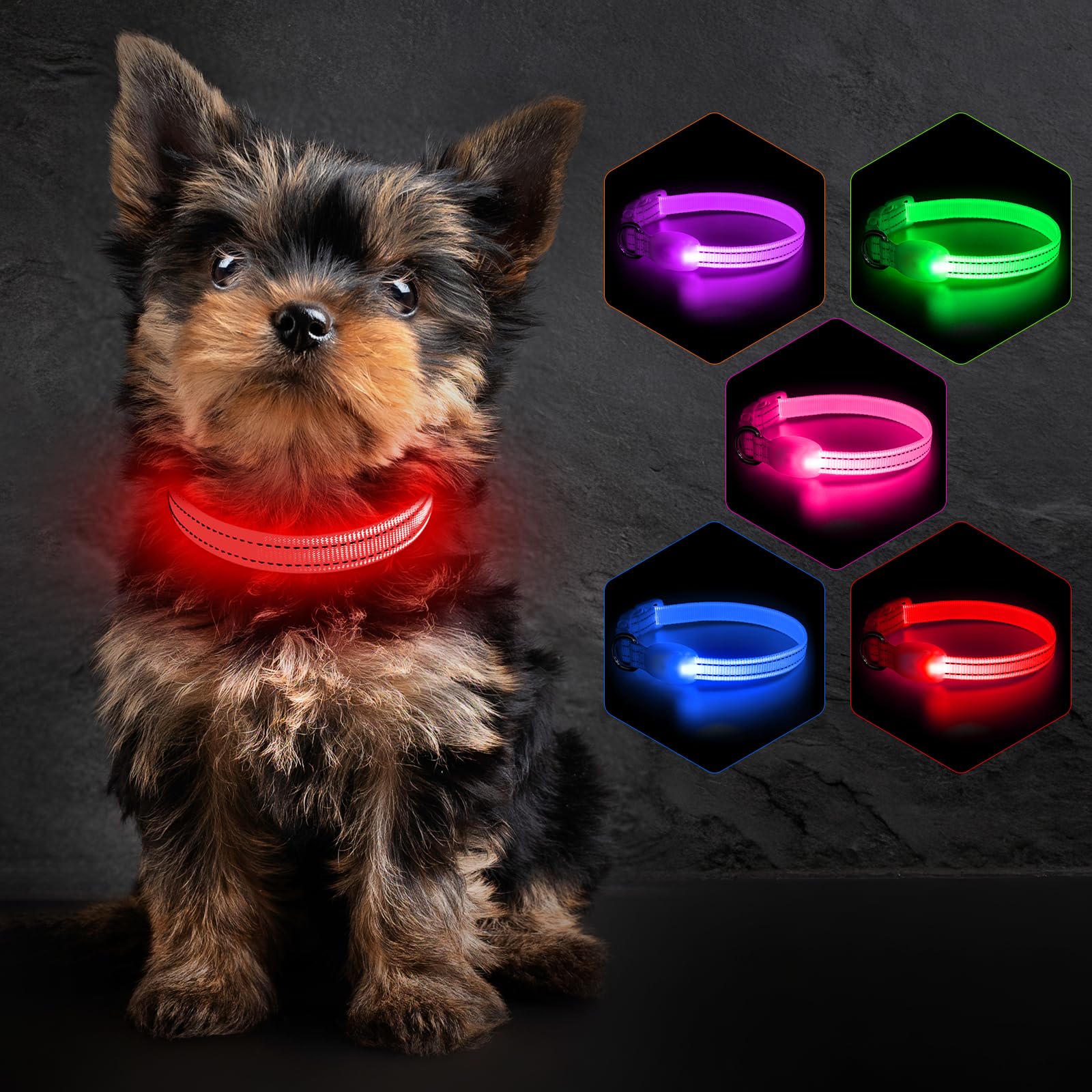 Colaseeme USB C Rechargeable Light Dog Collar Waterproof Red S โ image 1